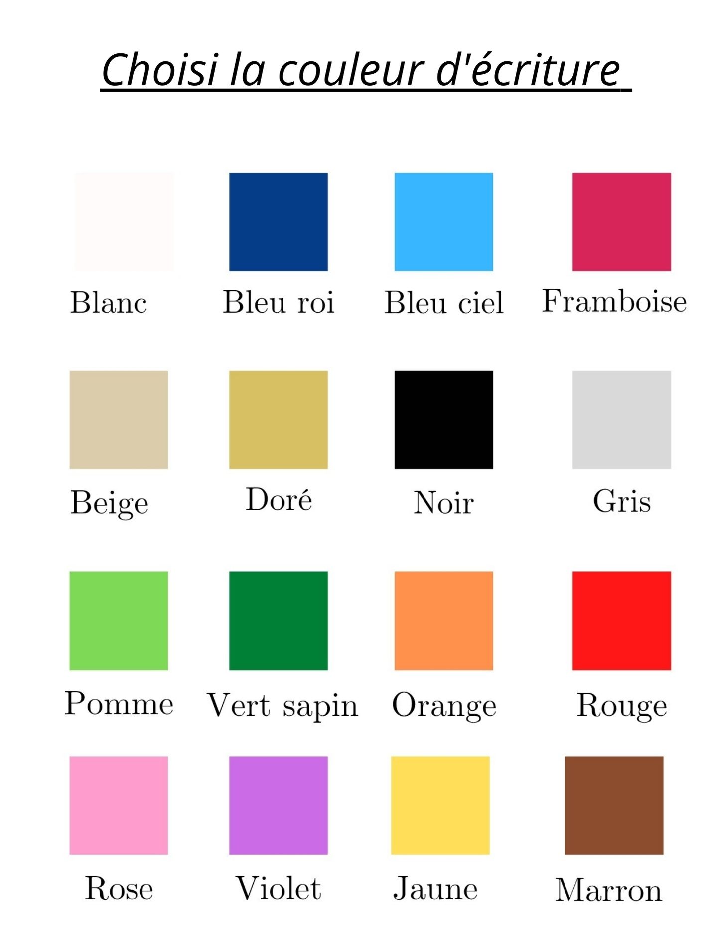 collier pour chien personnalisé stylidog