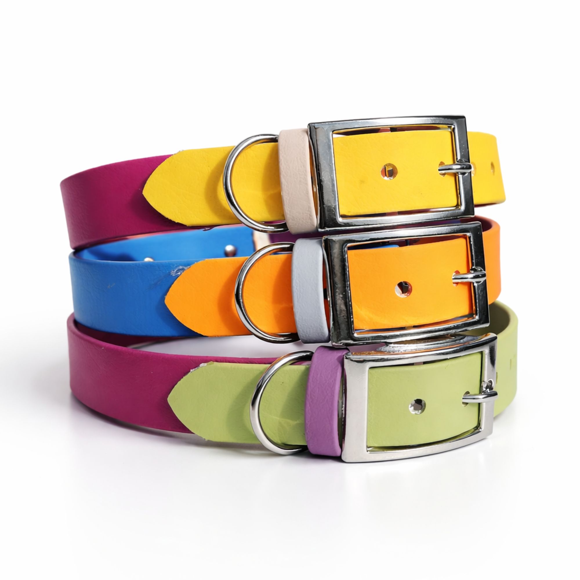 collier pour chien personnalisé stylidog
