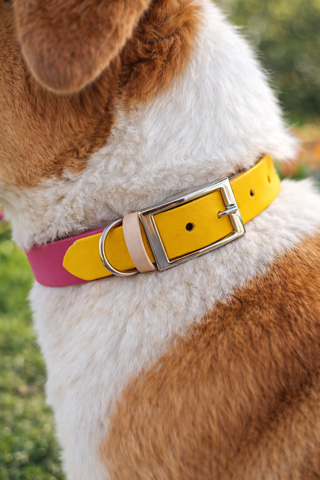collier pour chien personnalisé stylidog