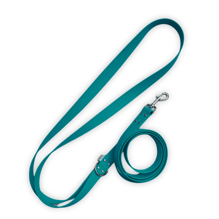 Sarcelle - Laisse pour chien bandoulière Biothane – Vert teal élégant