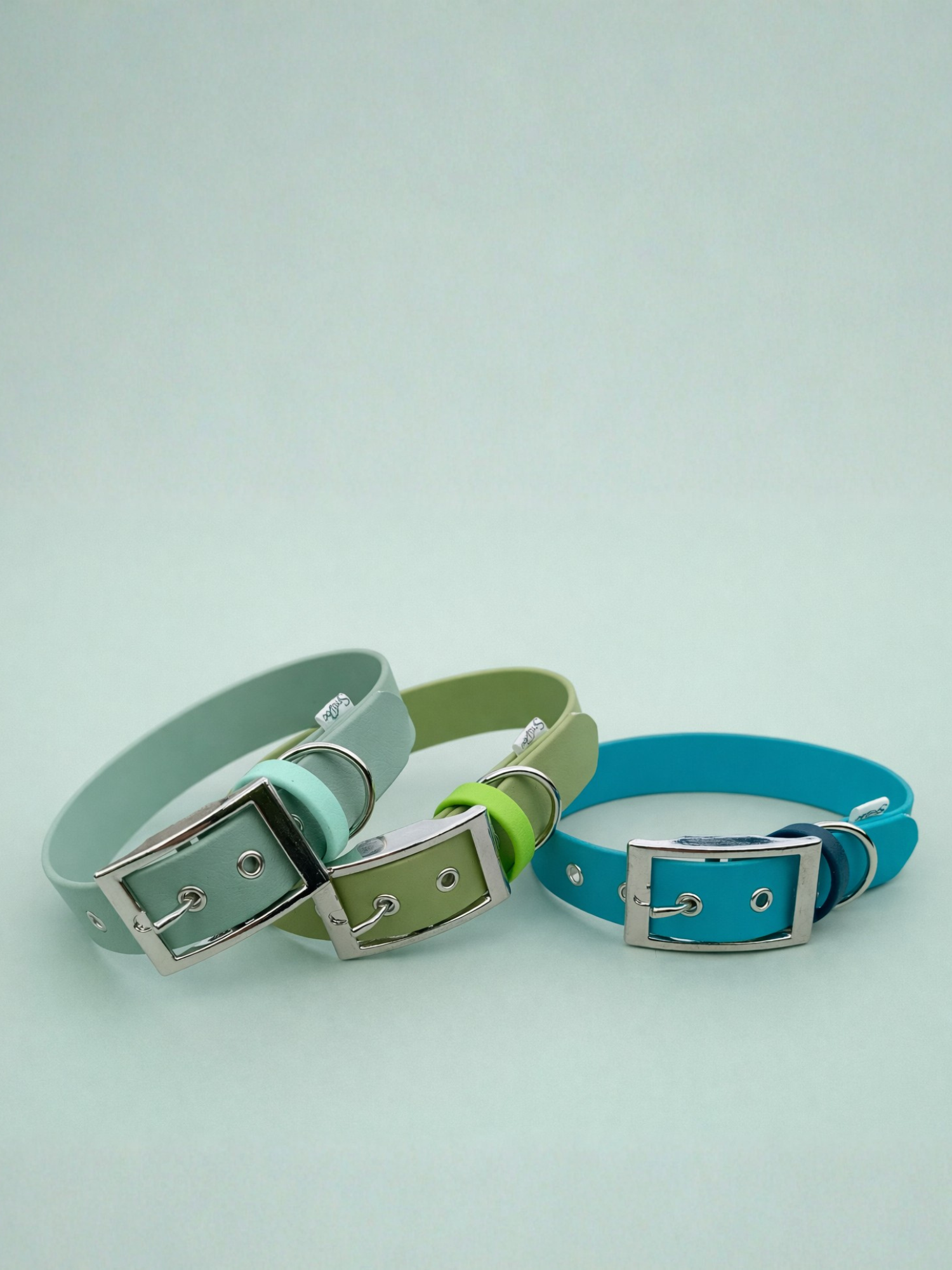 COLLIER BIOTHANE POUR CHIEN STYLIDOG