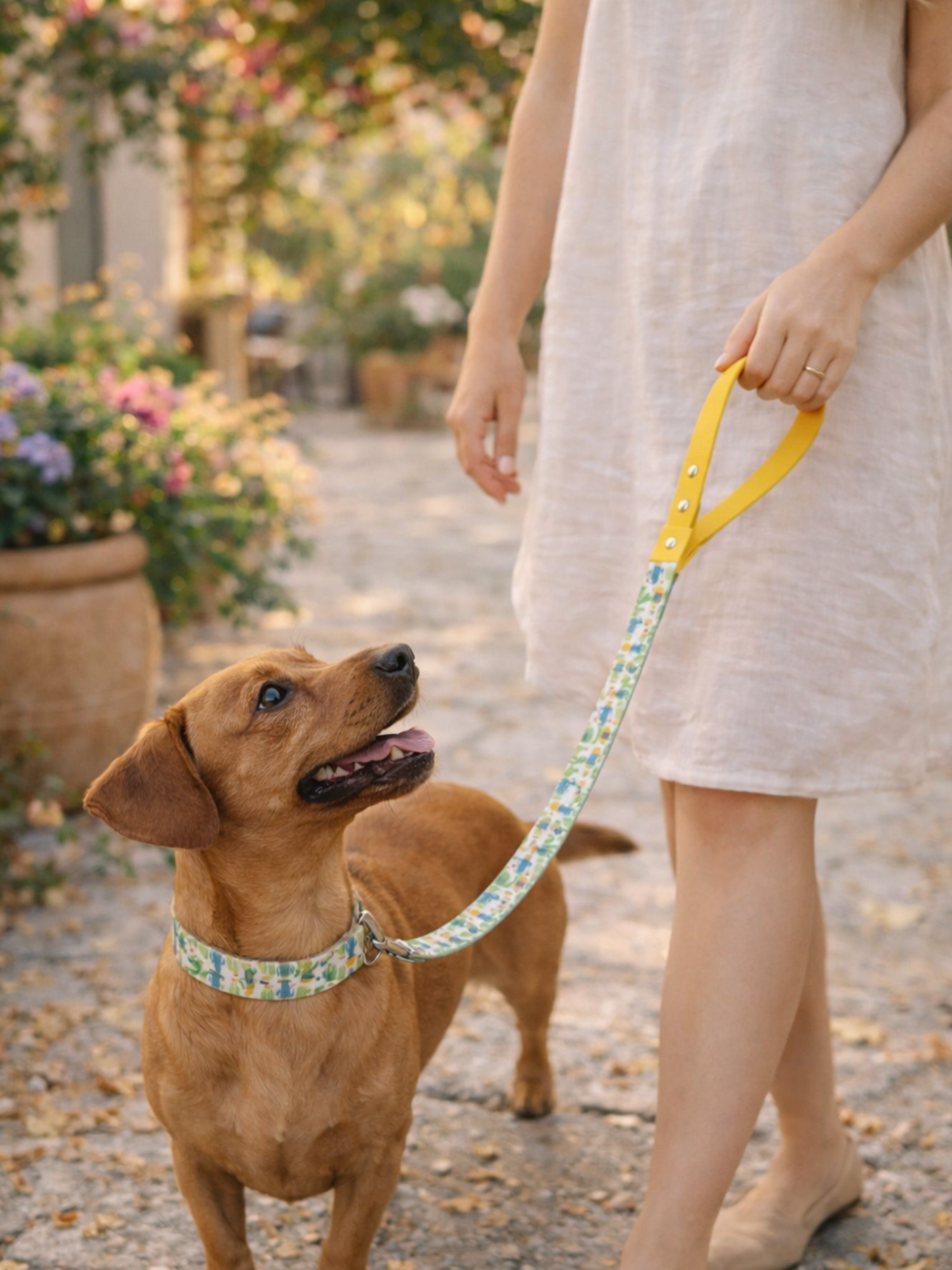 Laisse pour chien stylidog (2)