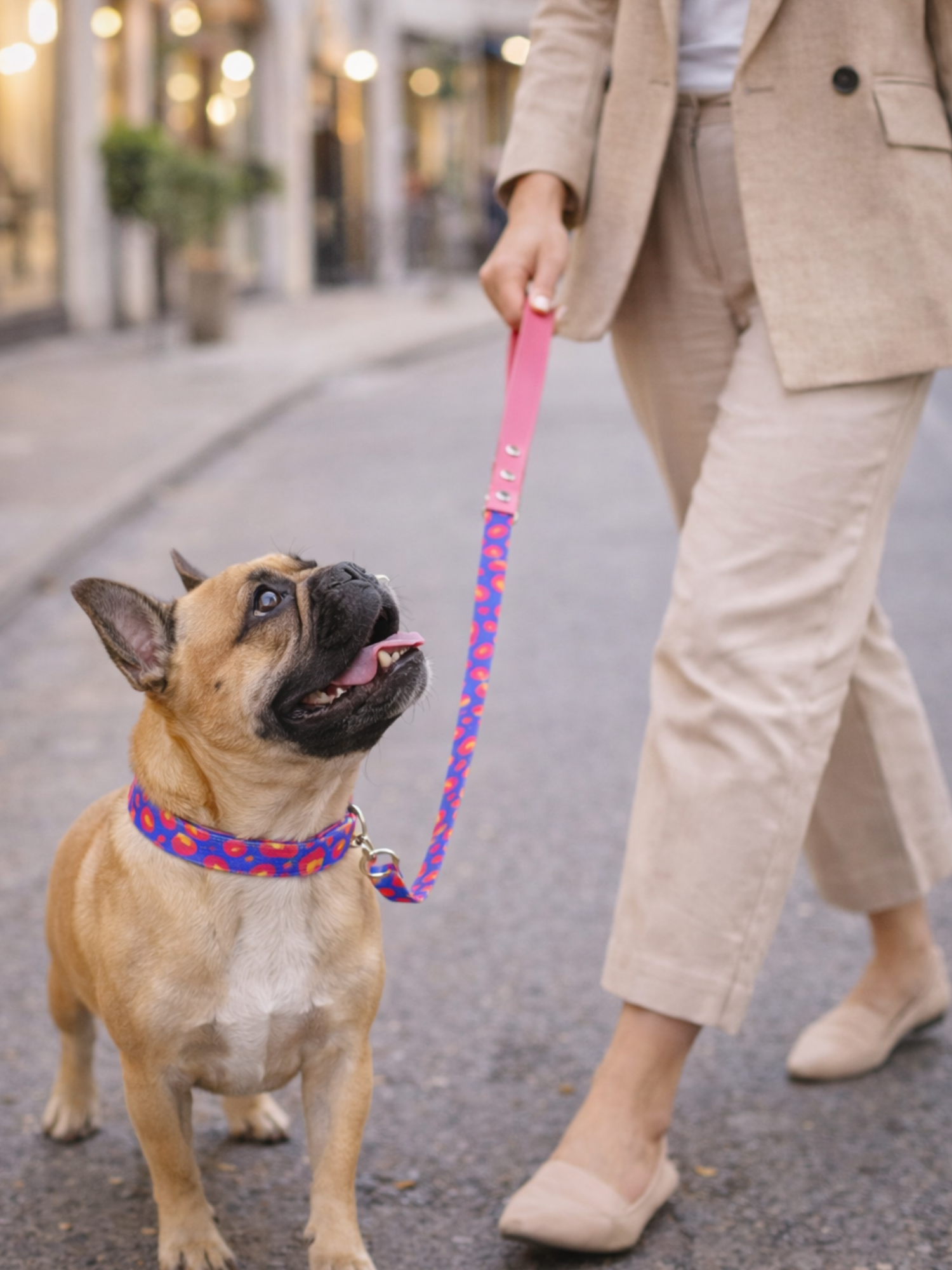 Laisse pour chien stylidog (7)