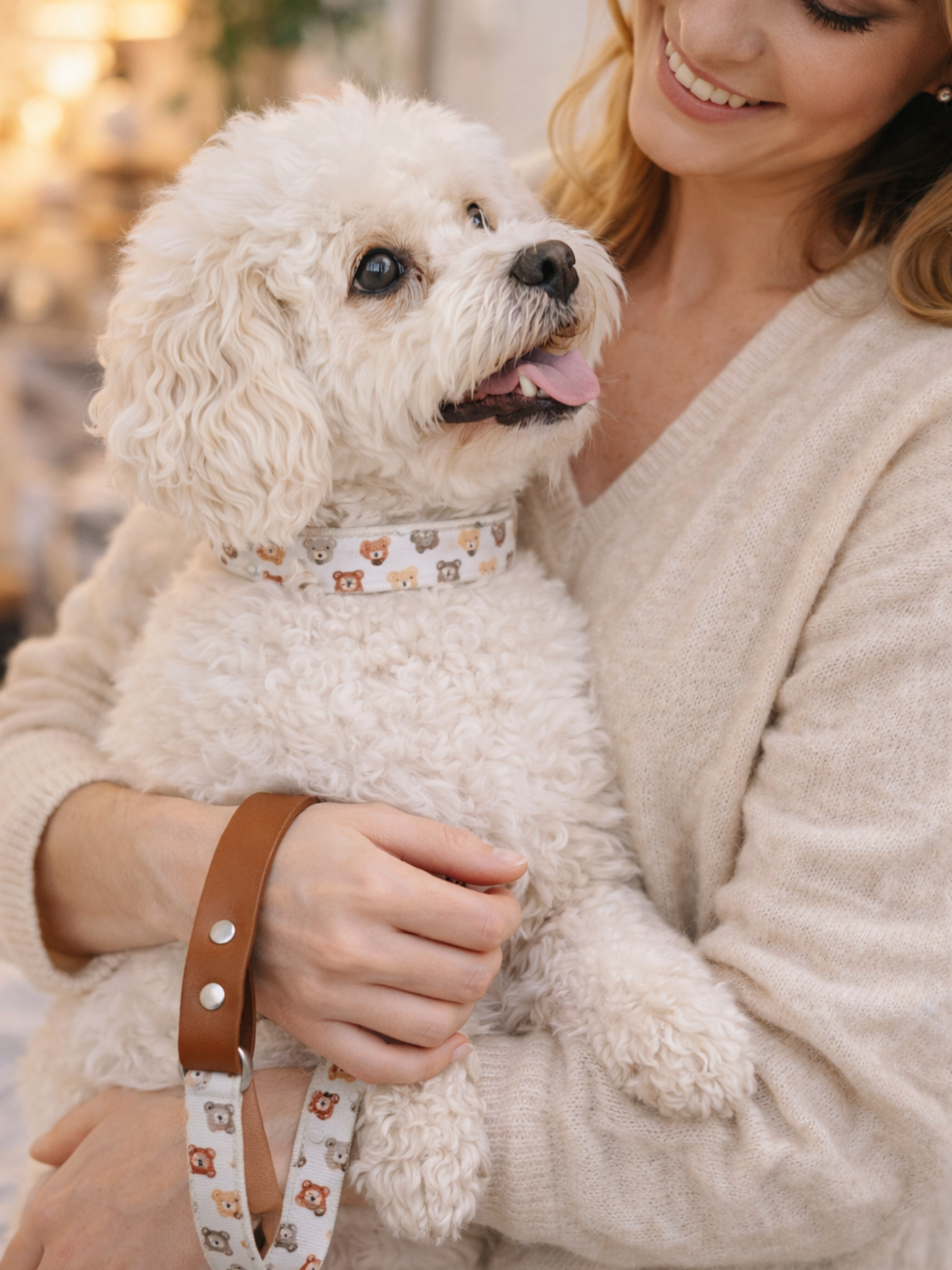 Laisse pour chien stylidog (6)