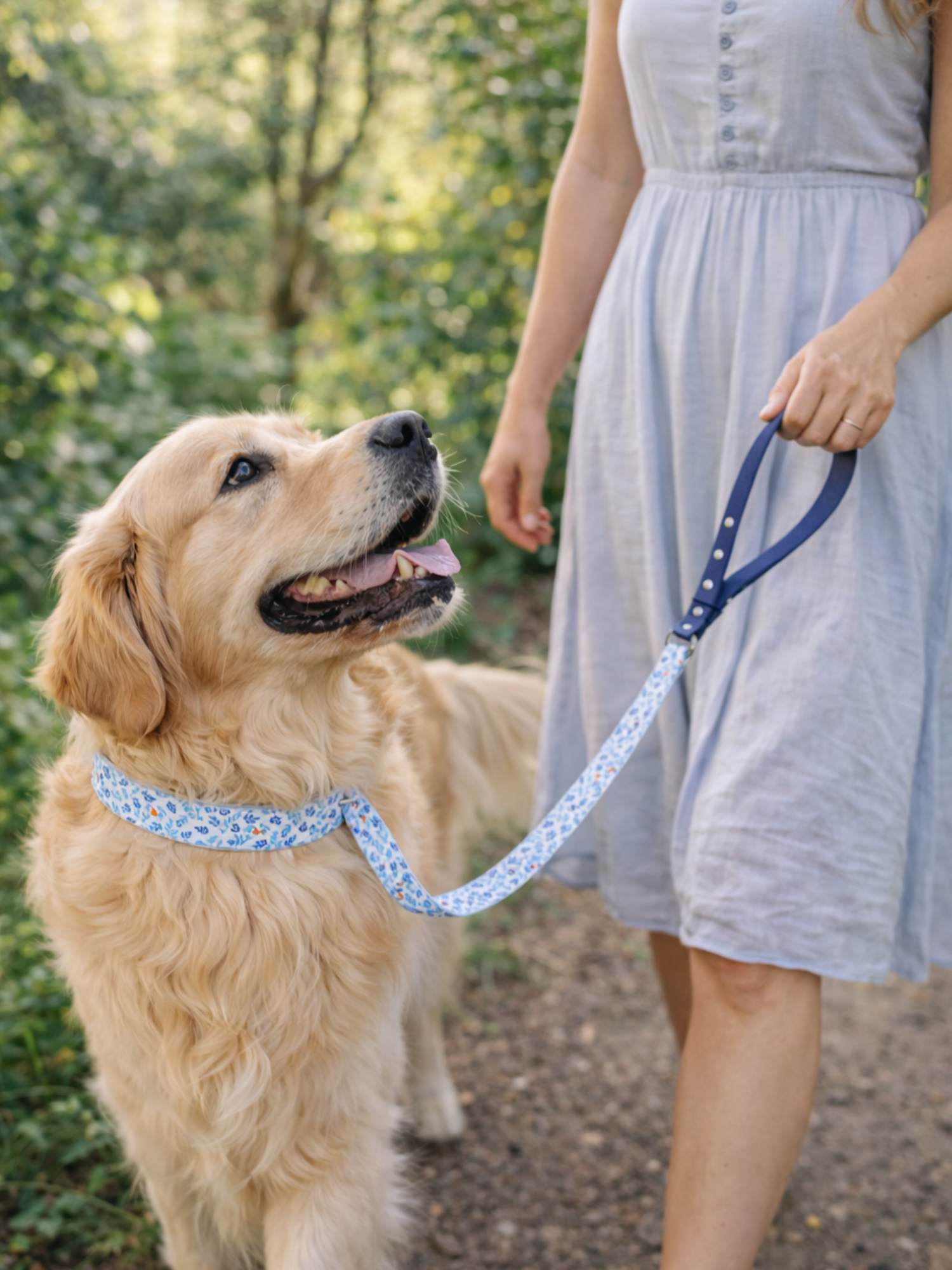 Laisse pour chien stylidog (5)