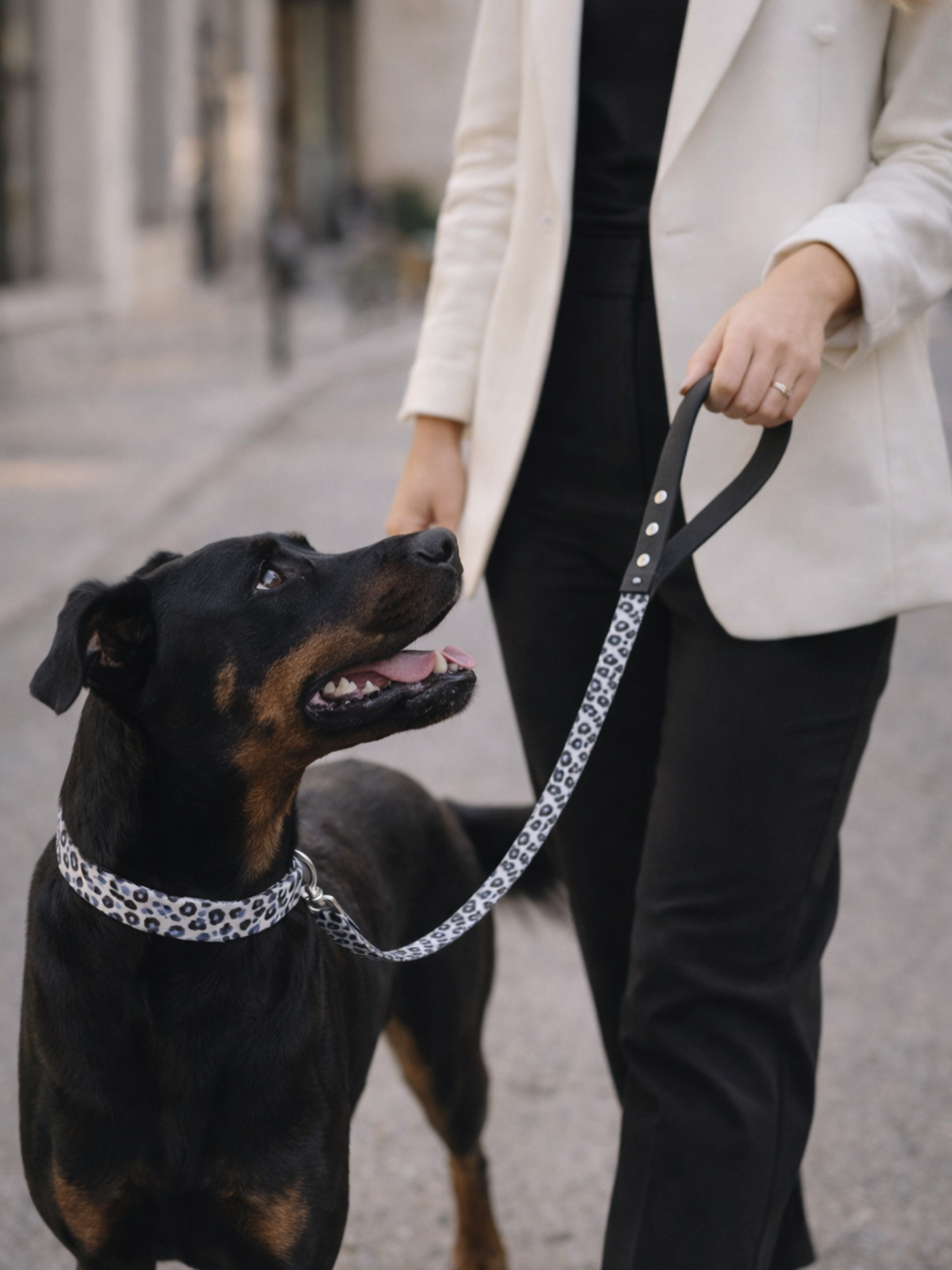 Laisse pour chien stylidog (13)