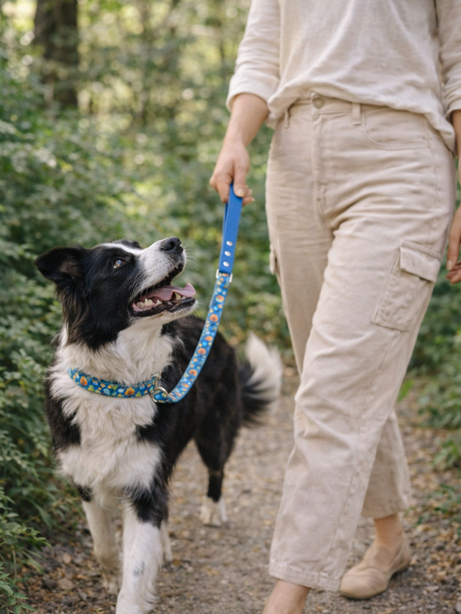 Laisse pour chien stylidog (11)