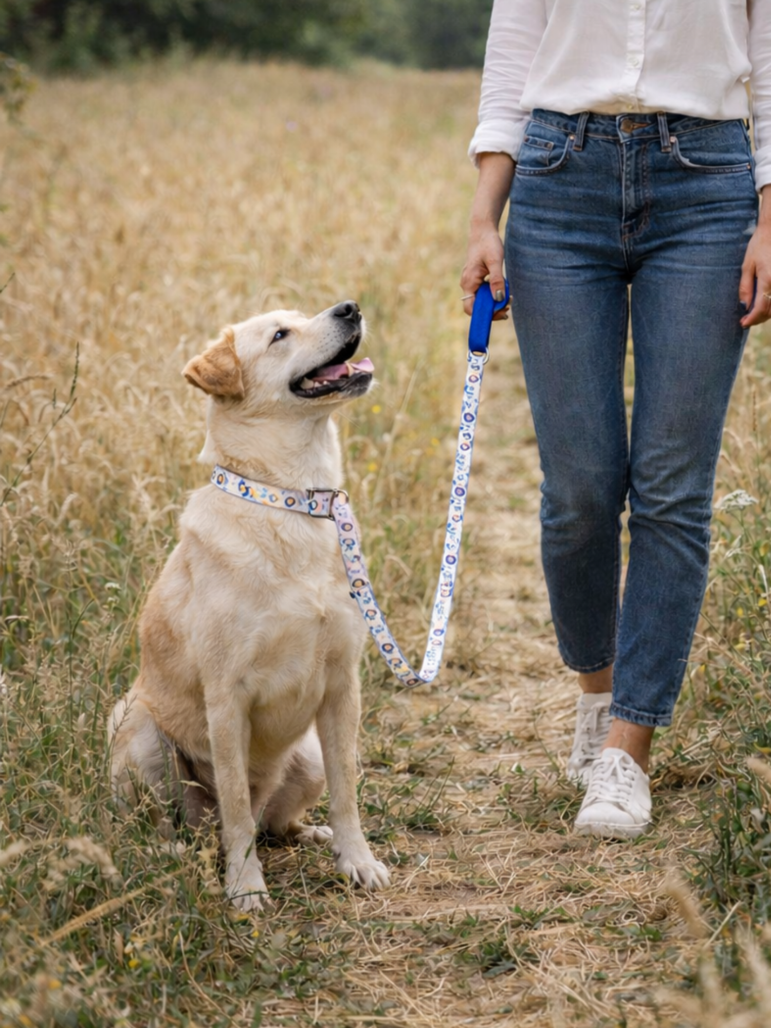 Laisse pour chien stylidog (10)