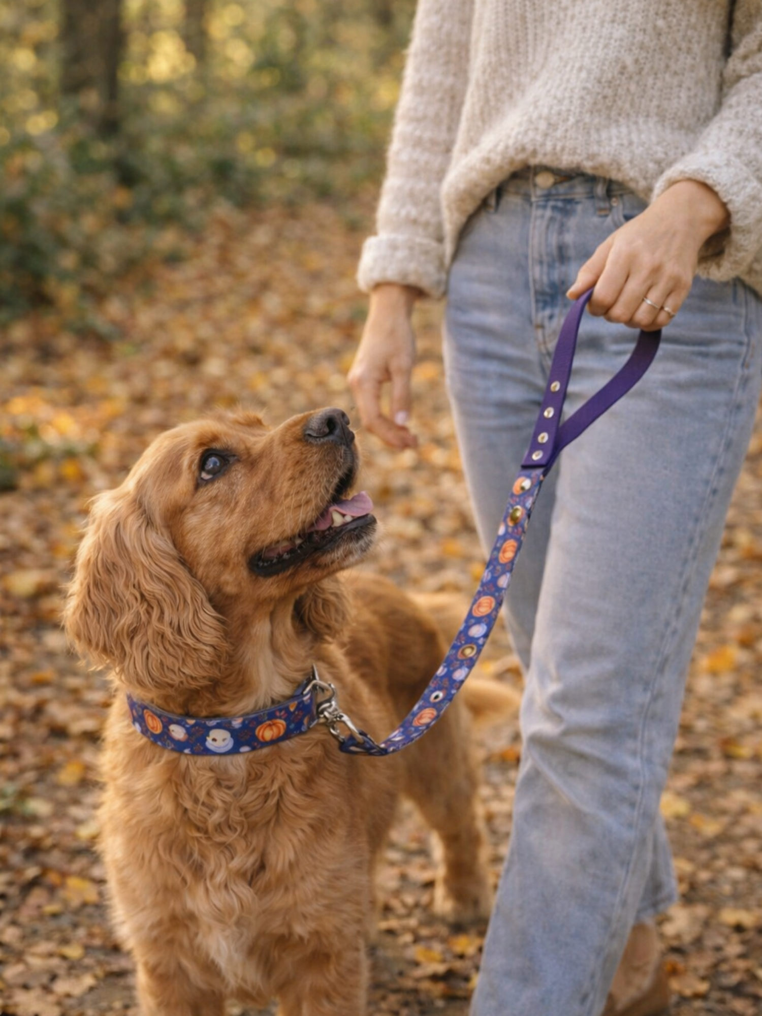 Laisse pour chien stylidog (14)