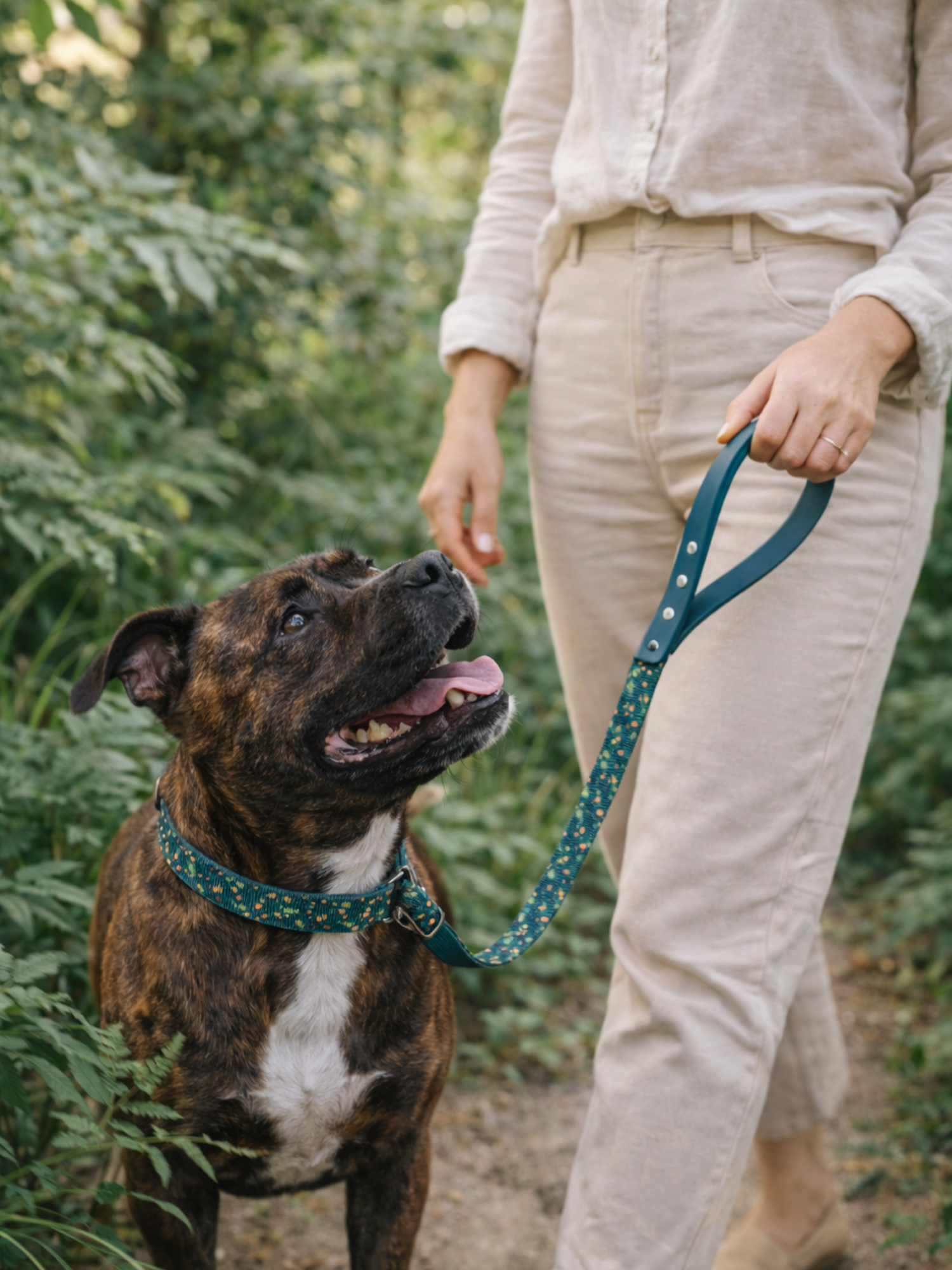 Laisse pour chien stylidog (9)