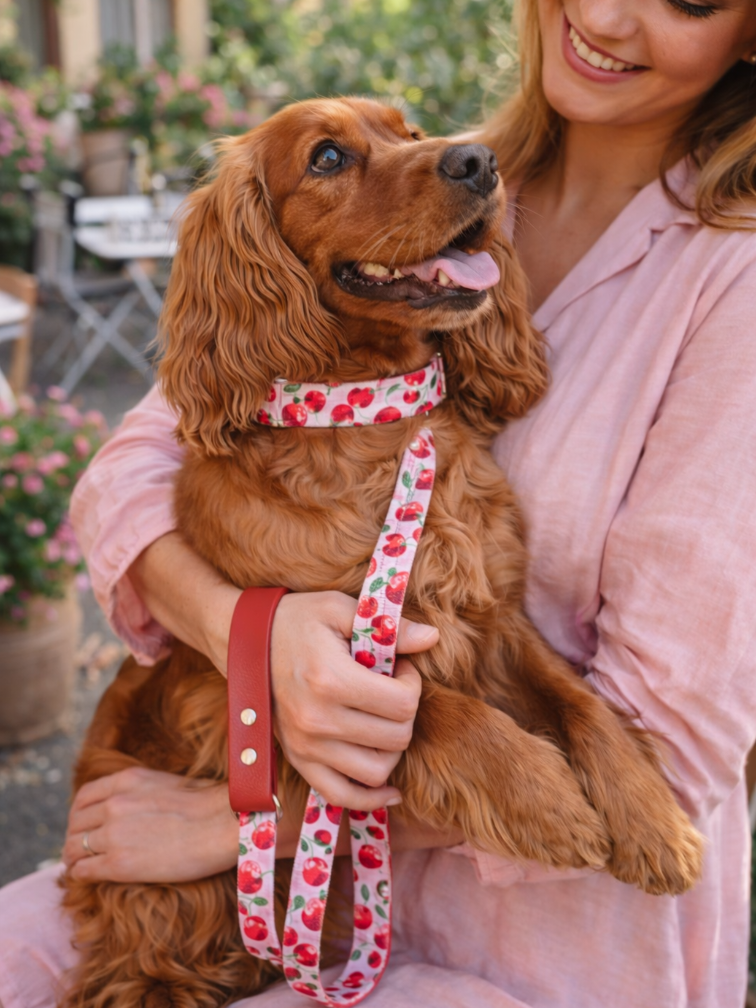 Laisse stylidog pour chien (12)
