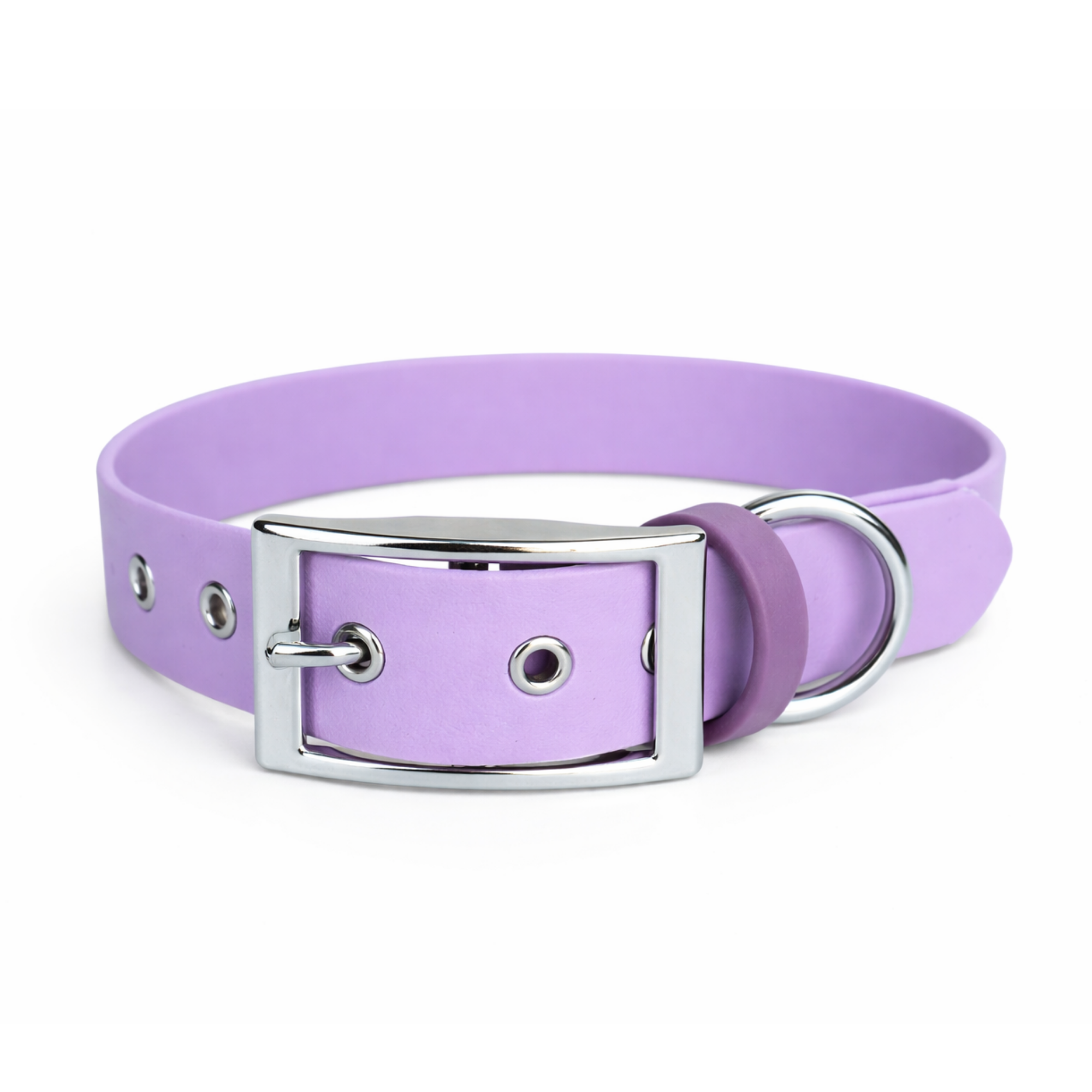 Aubergine, Collier pour chien en Biothane violet, fabriqués en France - Stylidog