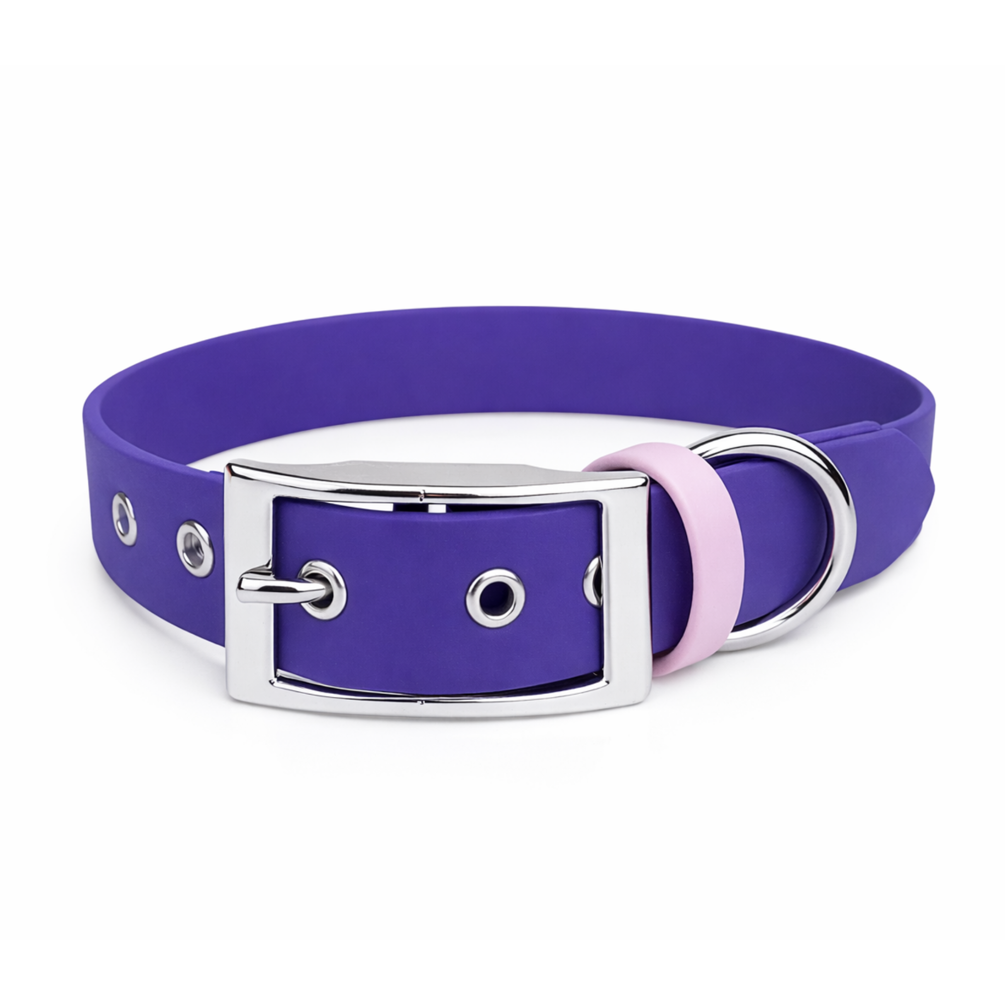 Violette - Collier Biothane pour chien – Violet foncé, résistant & fait main en France