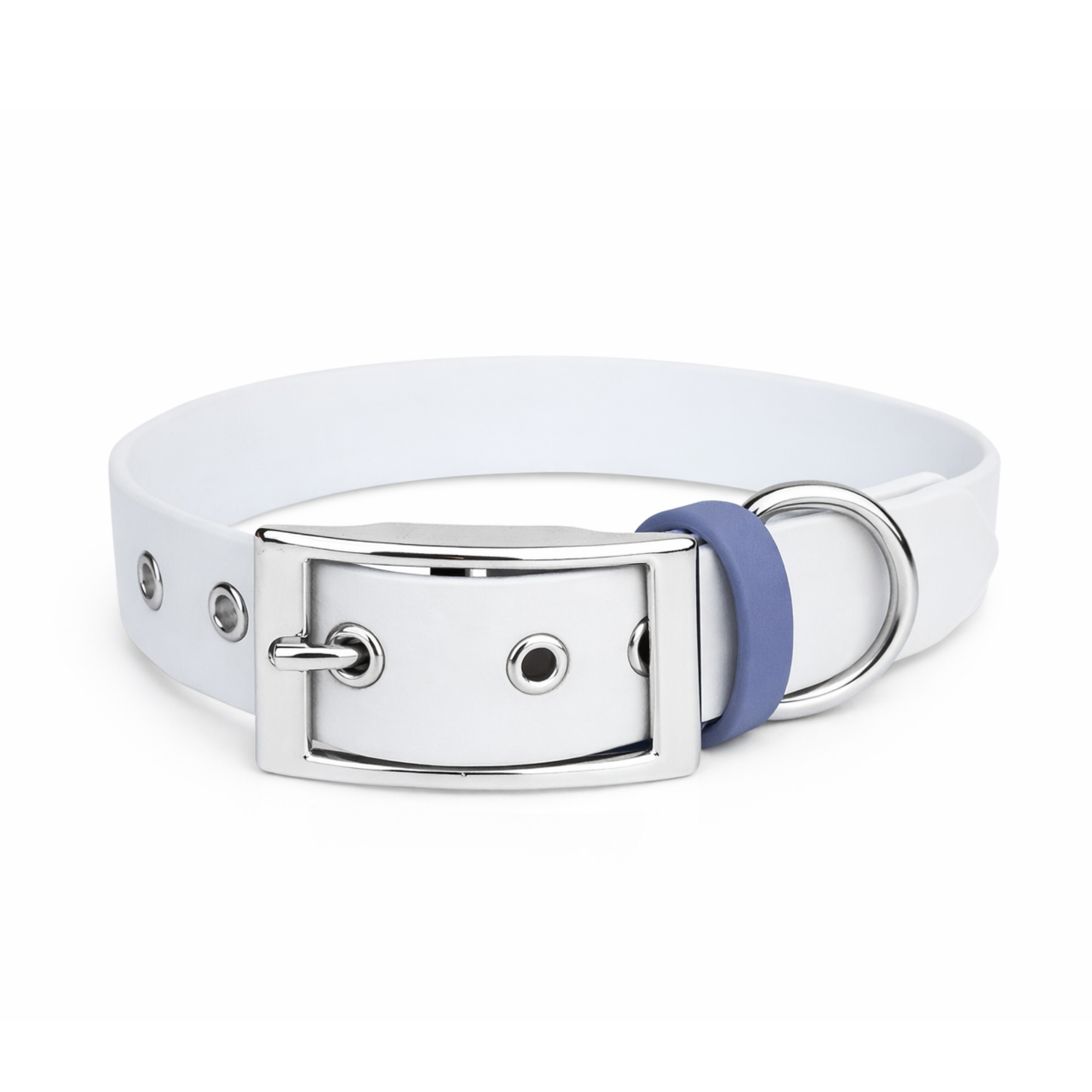 Pâtisson, Collier blanc pour chien en Biothane, fabriqués en France - Stylidog