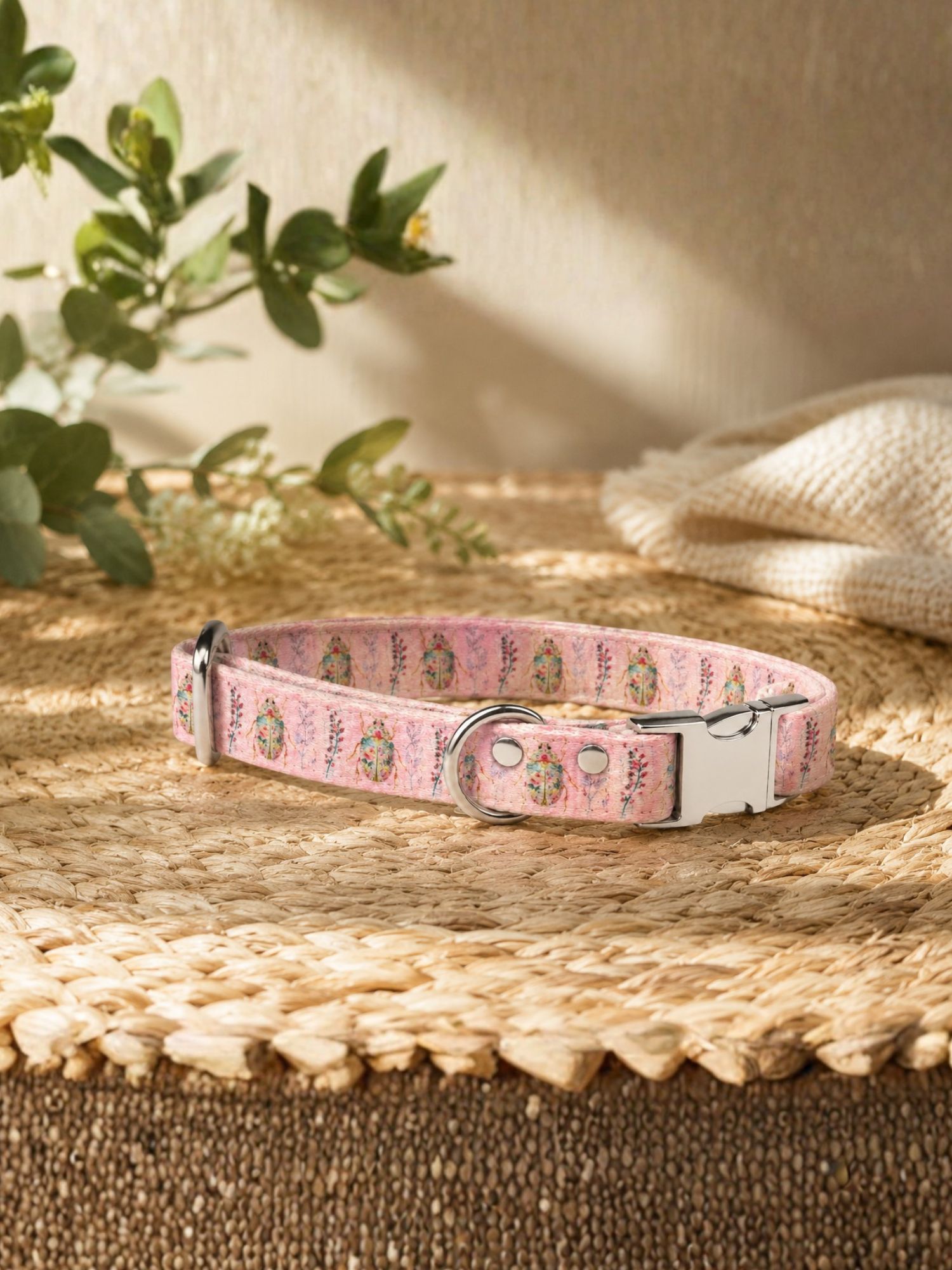 collier pour chien stylidog