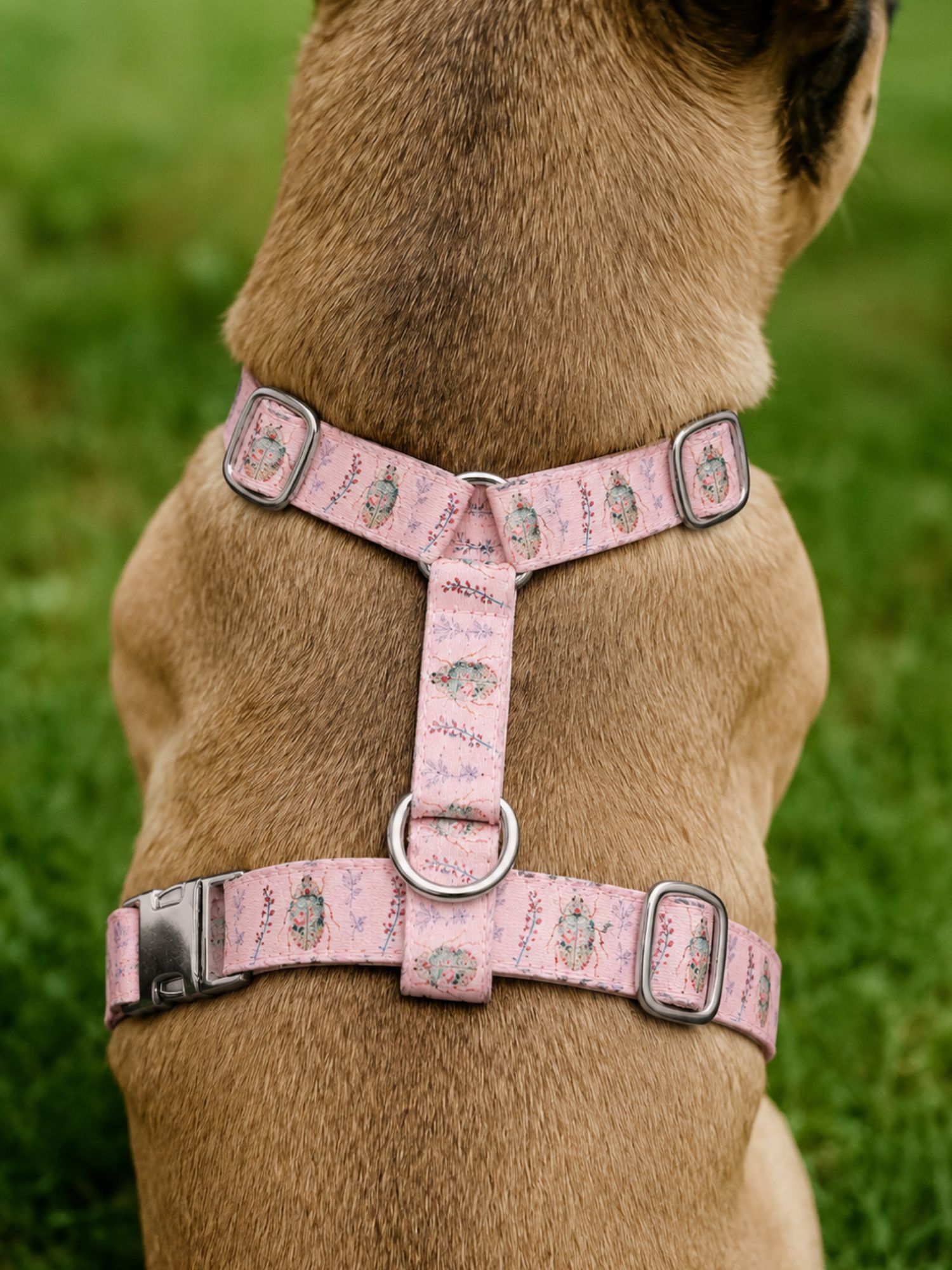harnais stylidog