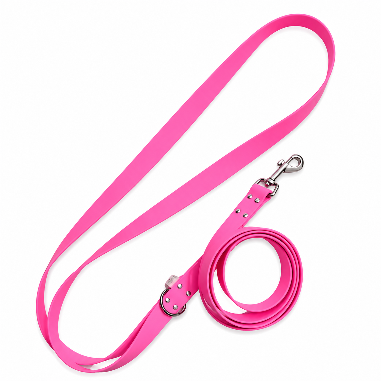 Ensemble stylidog biothane chien