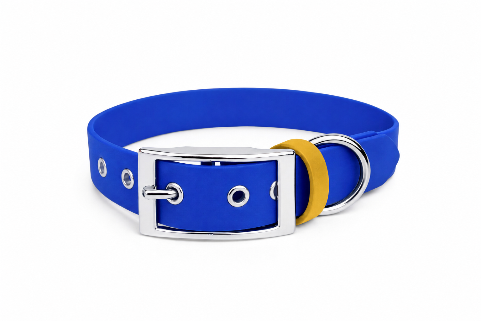 ENSEMBLE BIOTHANE CHIEN STYLIDOG