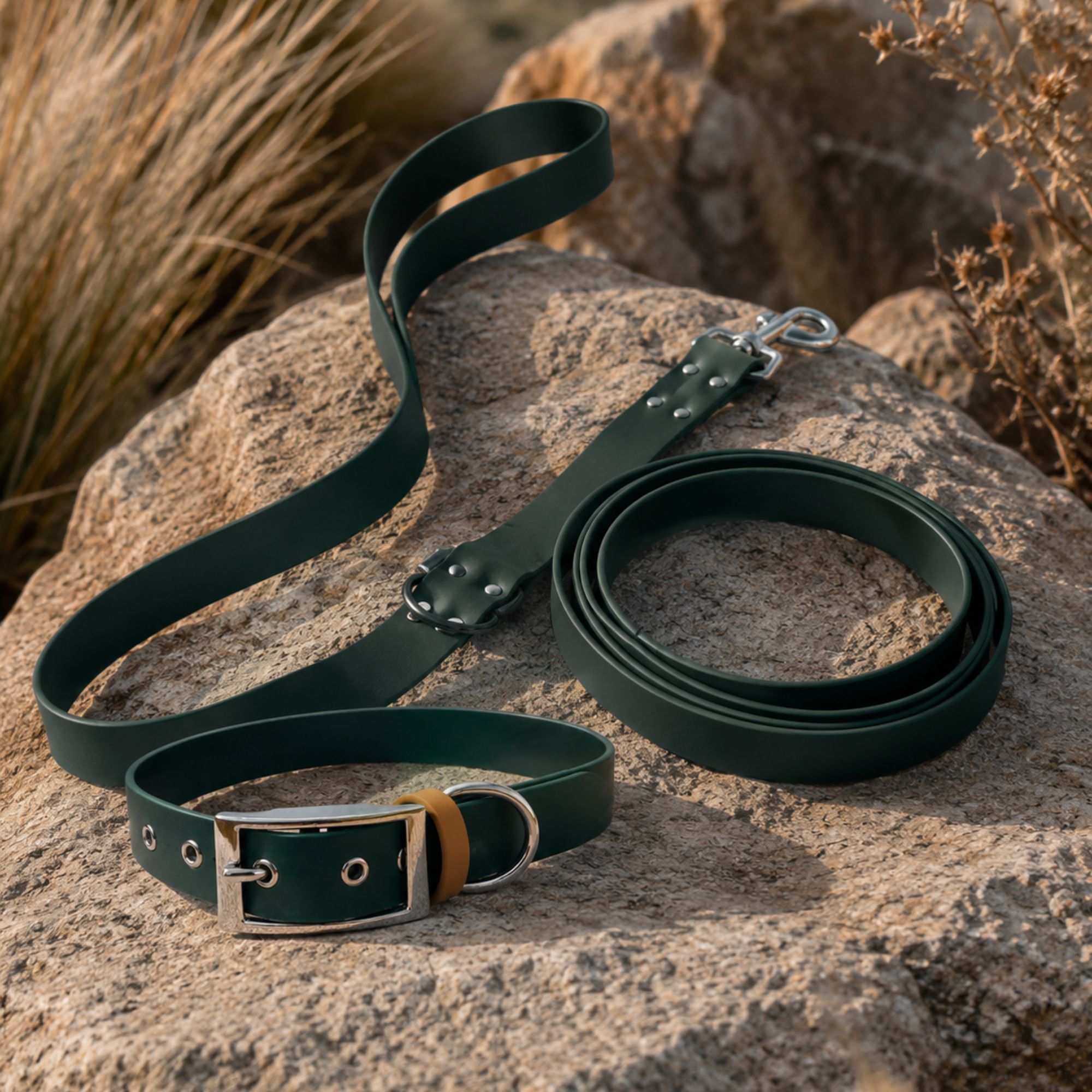 Ensemble Collier & Laisse Bandoulière Chien Biothane – Vert Sapin