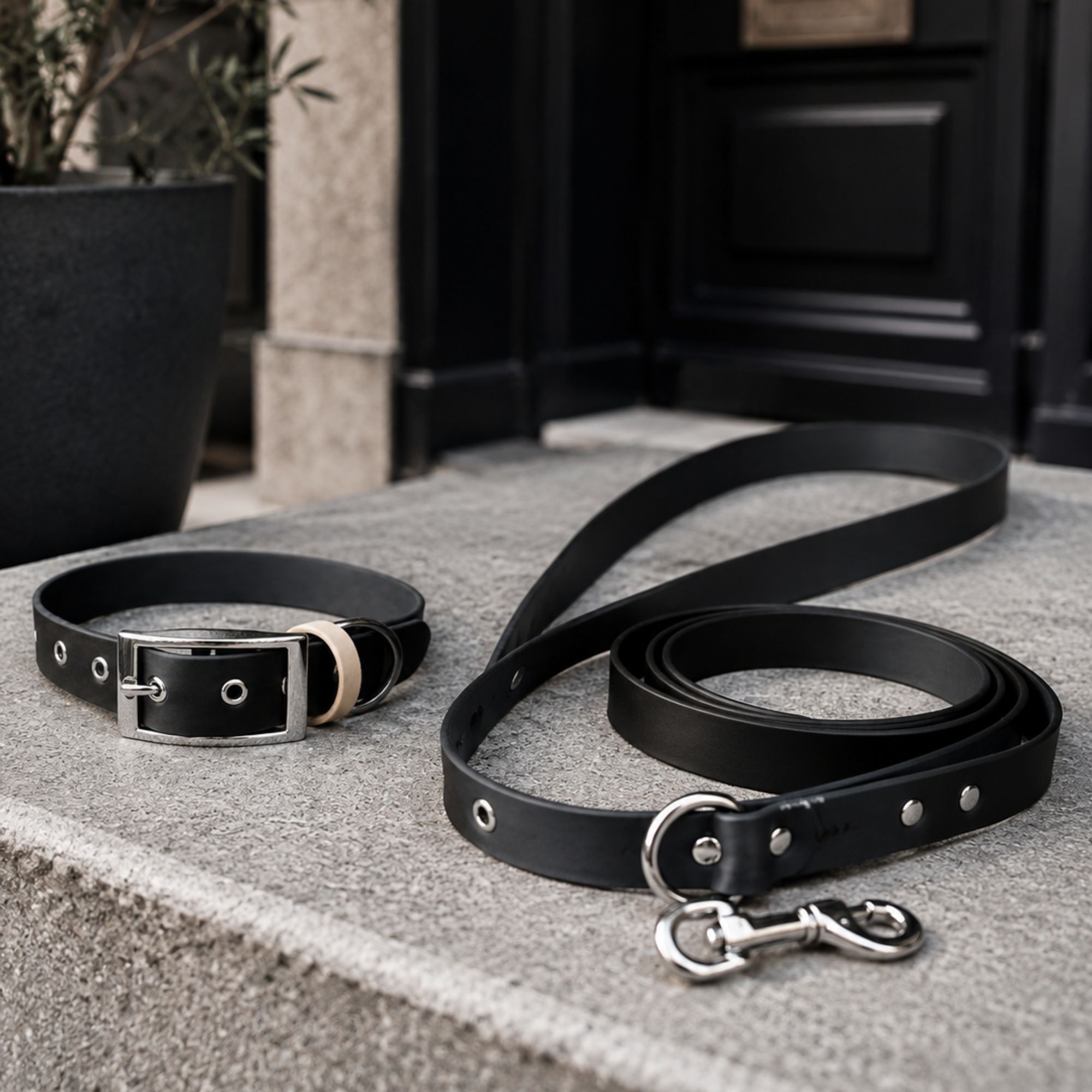 Ensemble Collier & Laisse Bandoulière Chien Biothane – Noir
