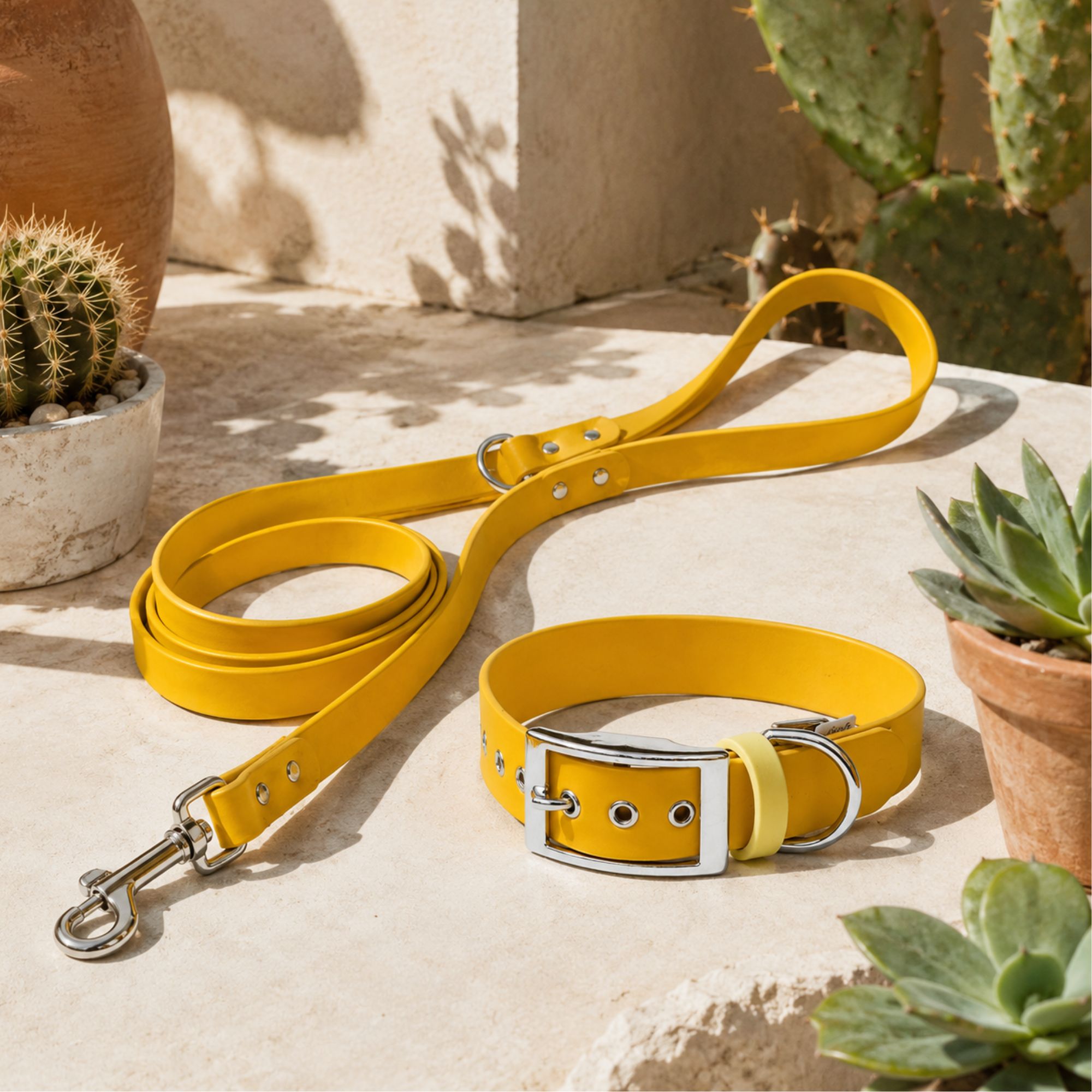 Ensemble Collier & Laisse Bandoulière Chien Biothane – Jaune