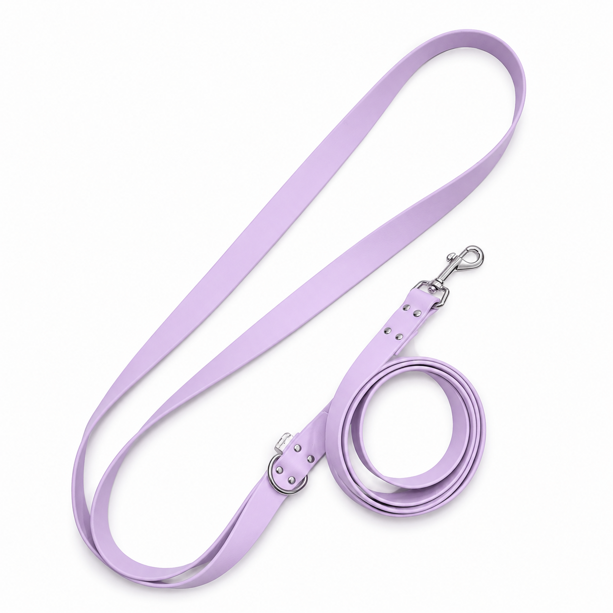 ENSEMBLE BIOTHANE STYLIDOG CHIEN