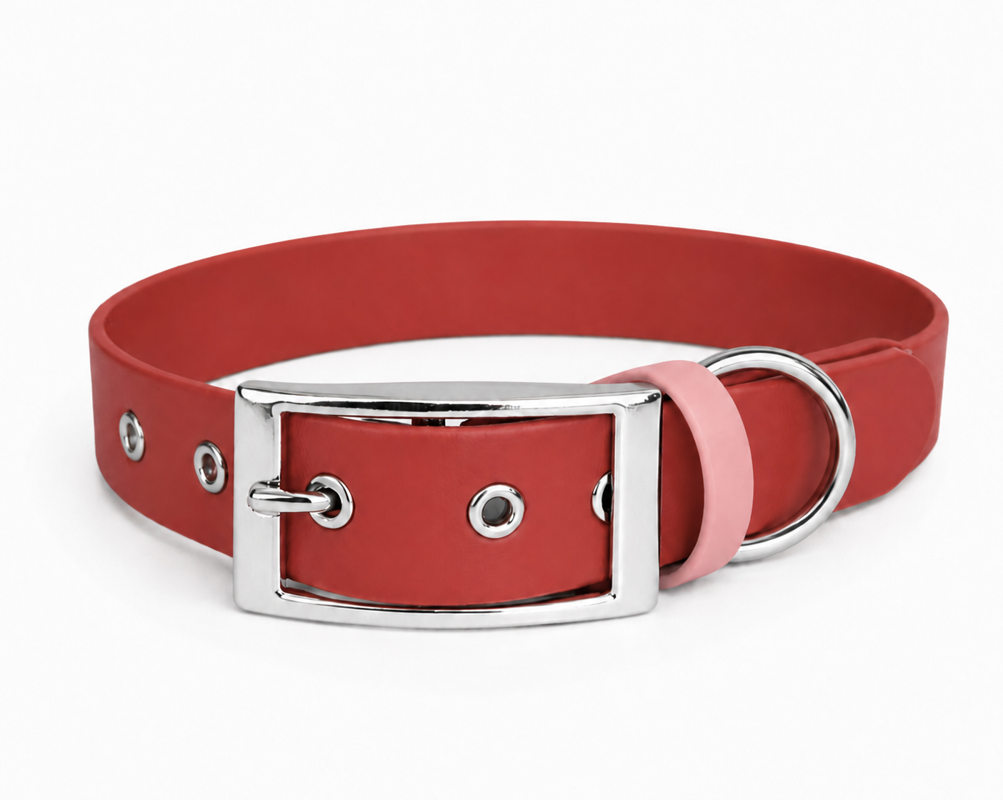 ENSEMBLE BIOTHANE CHIEN STYLIDOG