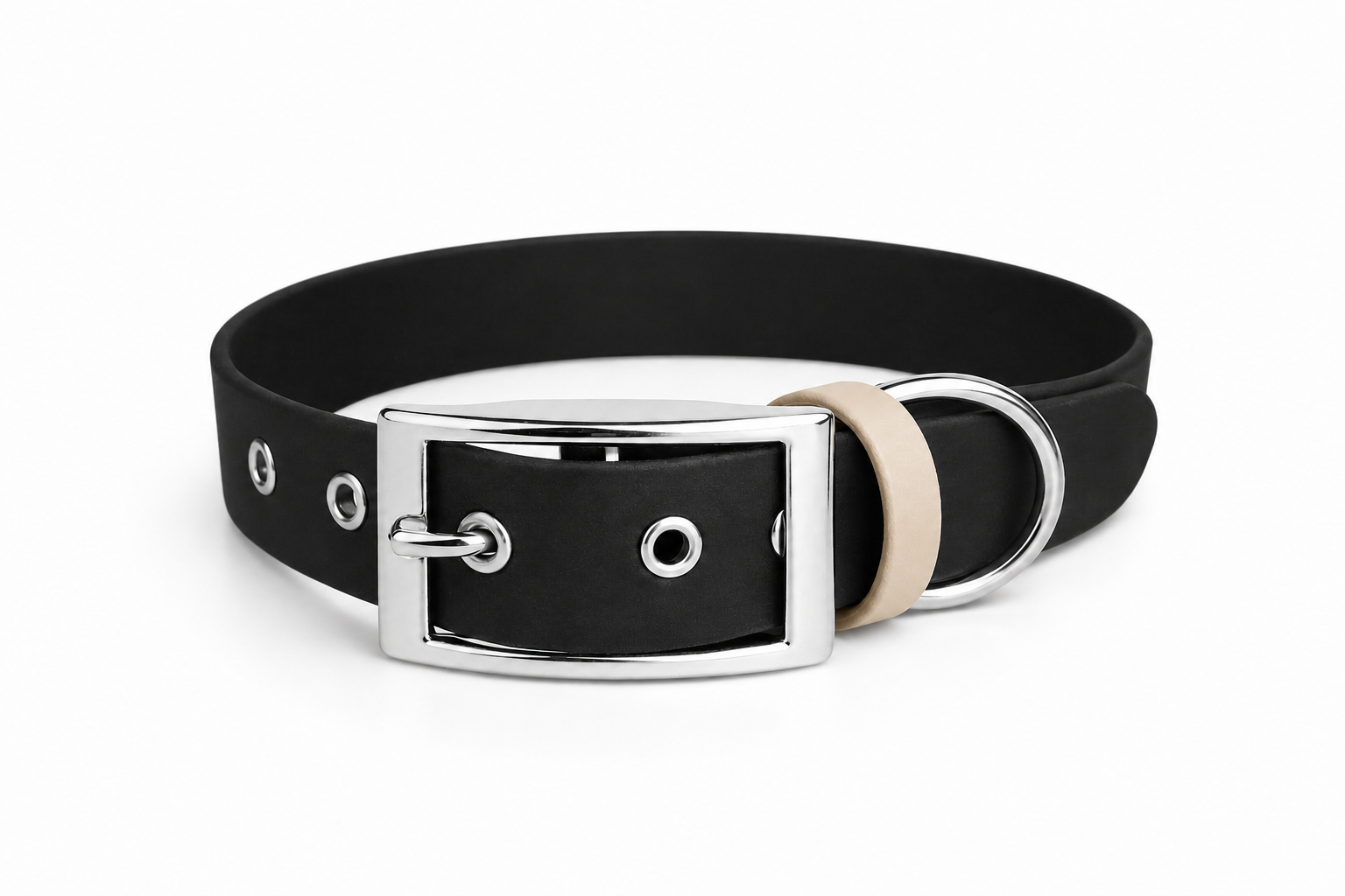 Ensemble stylidog biothane chien
