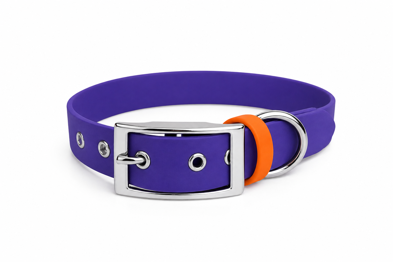 Ensemble stylidog biothane chien