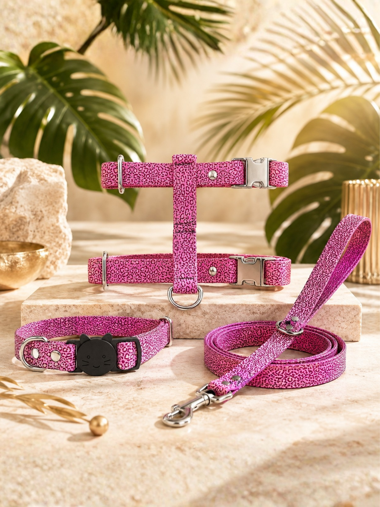 Stylicat - accessoires pour chat_20260804_095333_0022