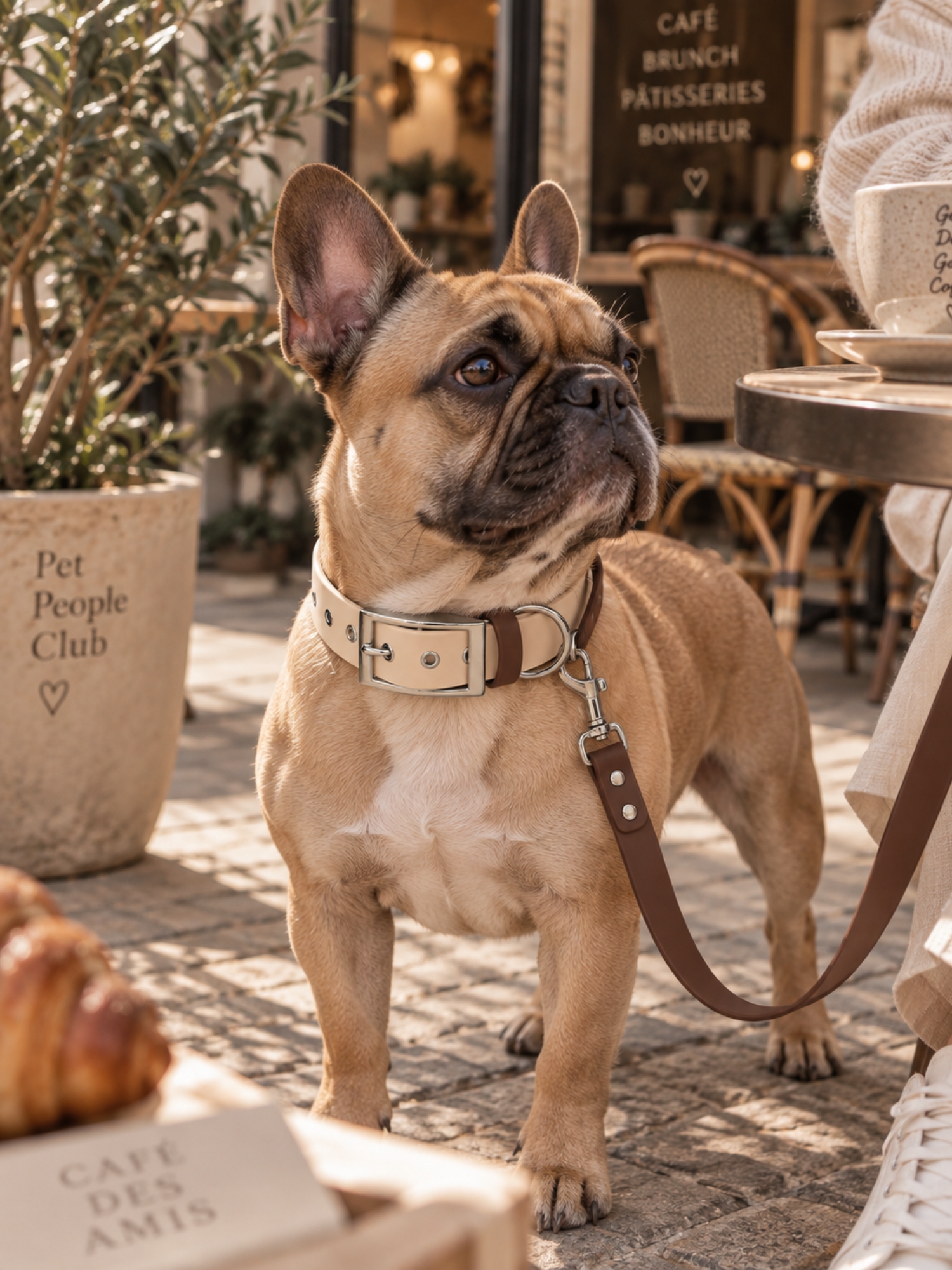 accessoire biothane beige pour chien