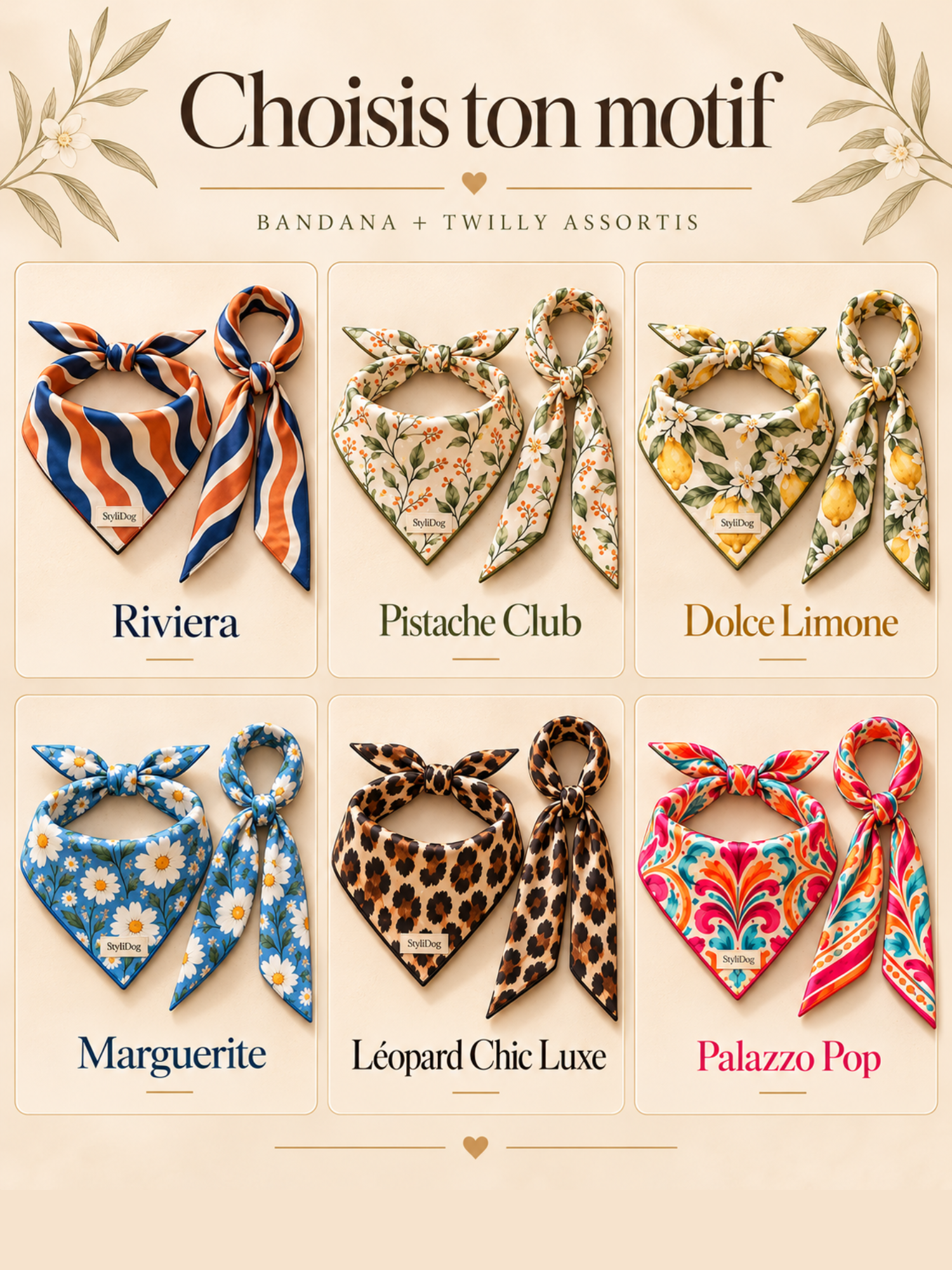 coffret assorti chien humain stylidog