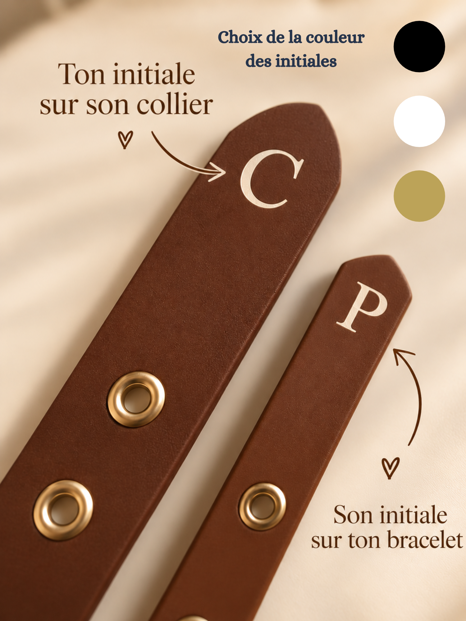 coffret assorti chien humain stylidog
