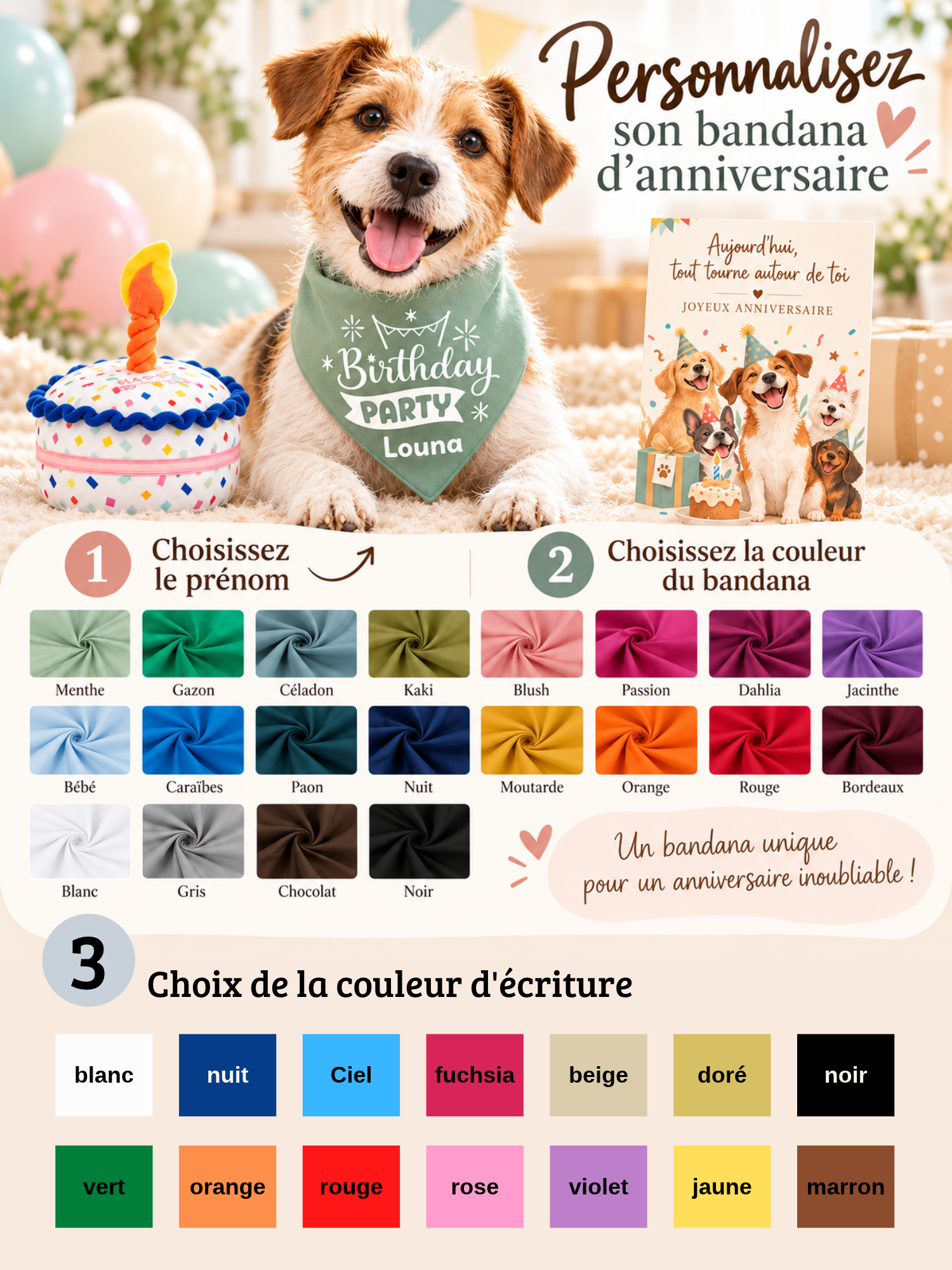 coffret anniversaire chien stylidog