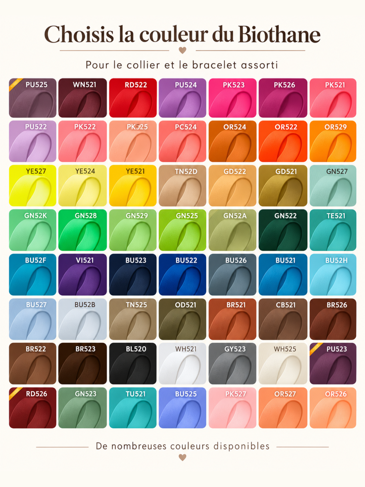 coffret assorti chien humain stylidog