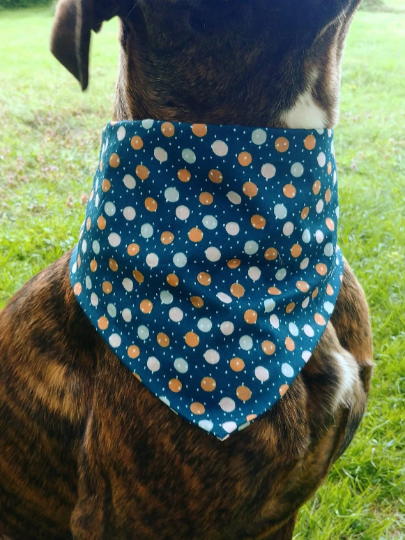 bandana zazou 2