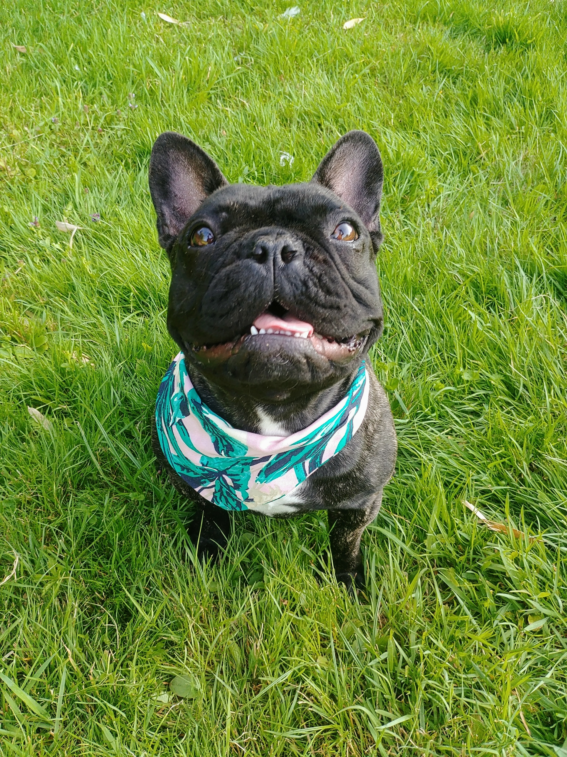 bandana vibes