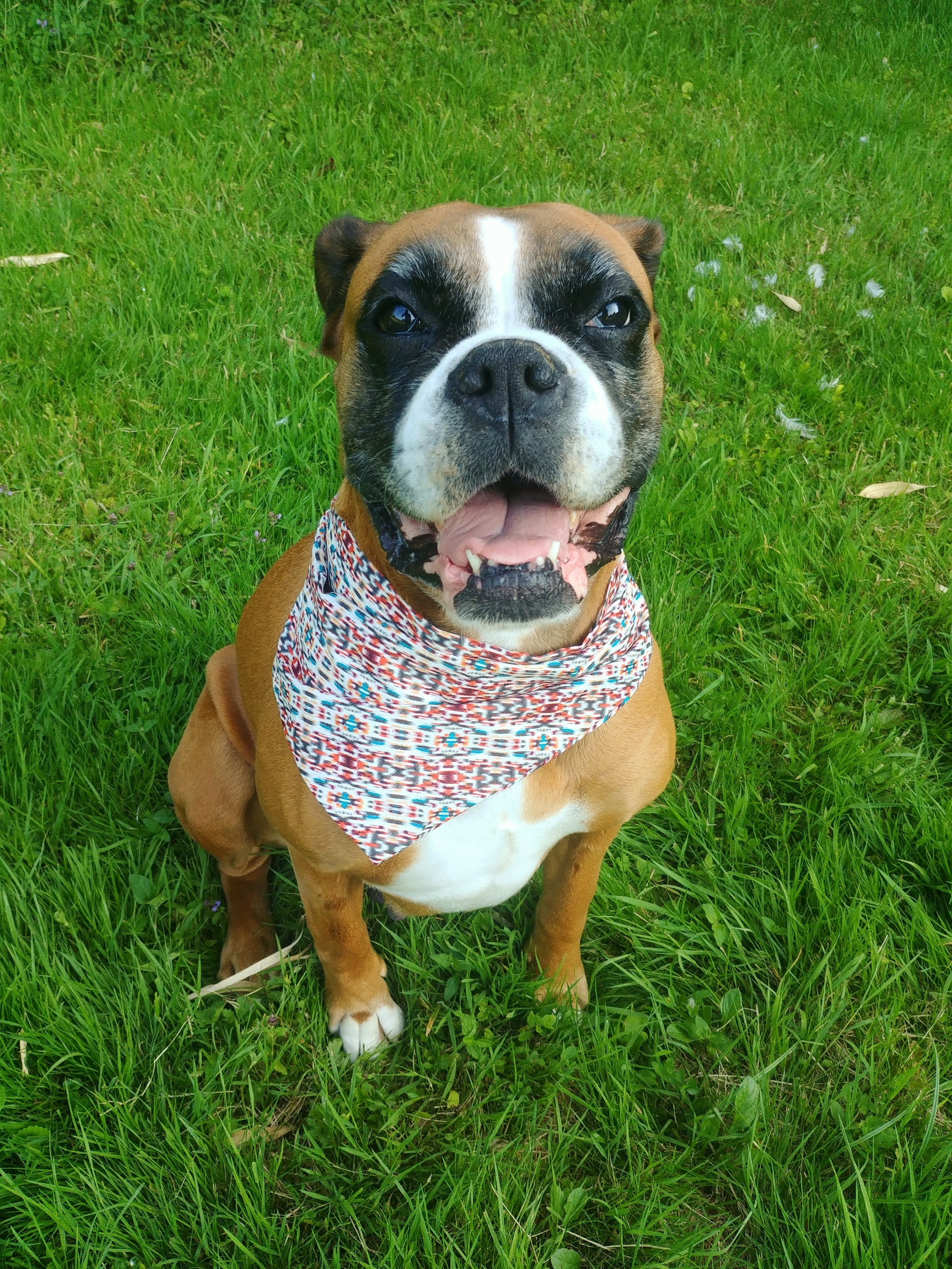 bandana maya