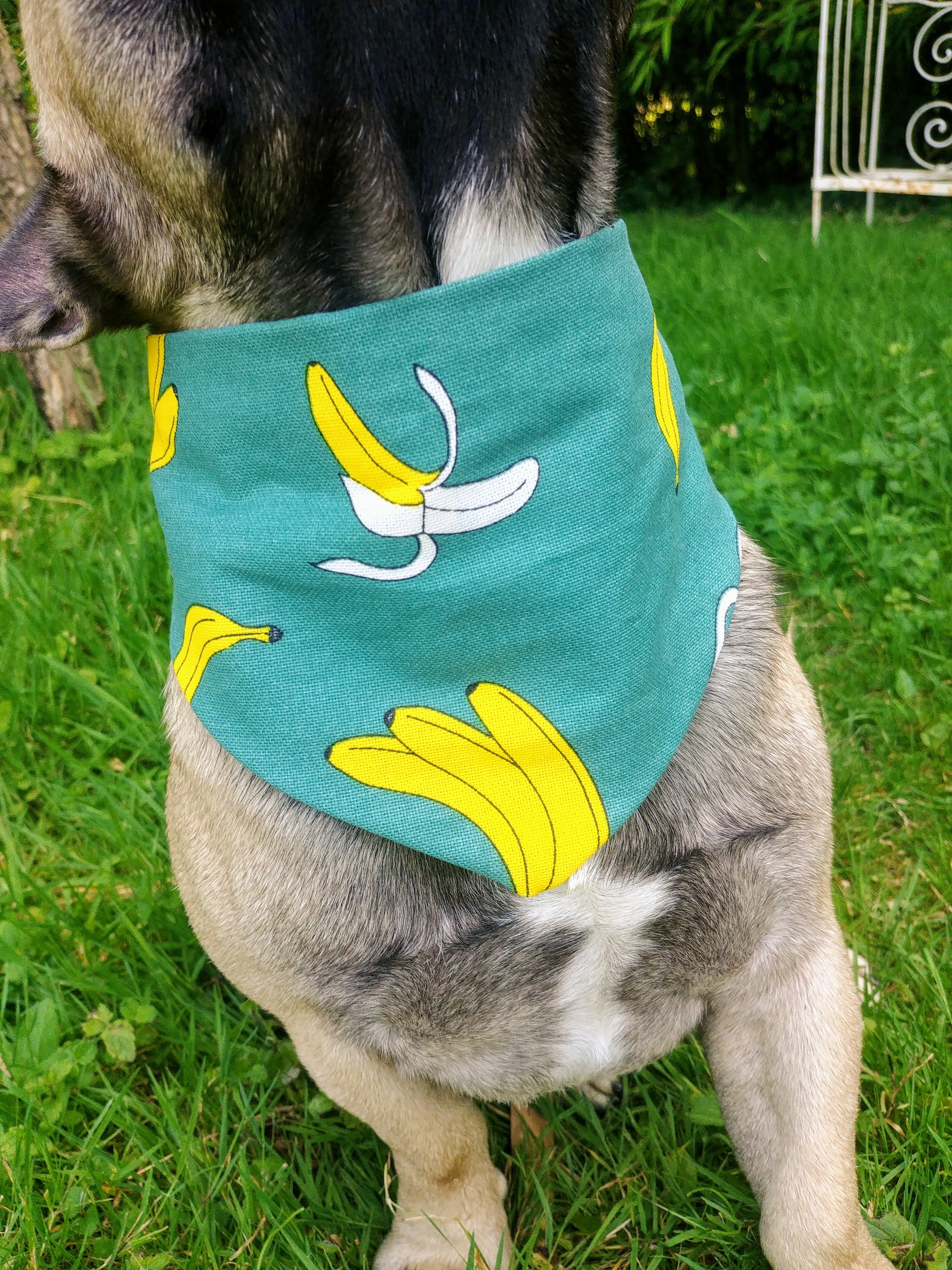 bandana banana~2