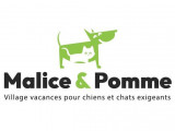 23 89186 malice pomme