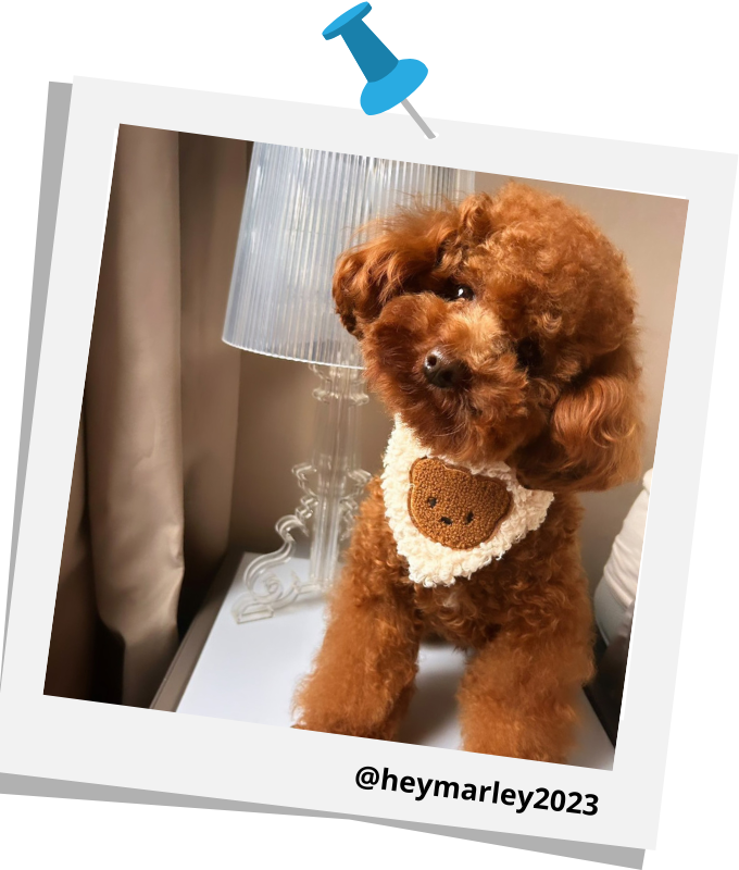 heymarley2023