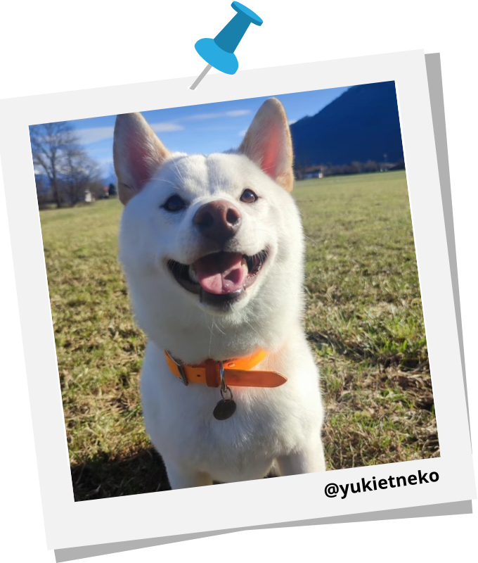 yukietneko