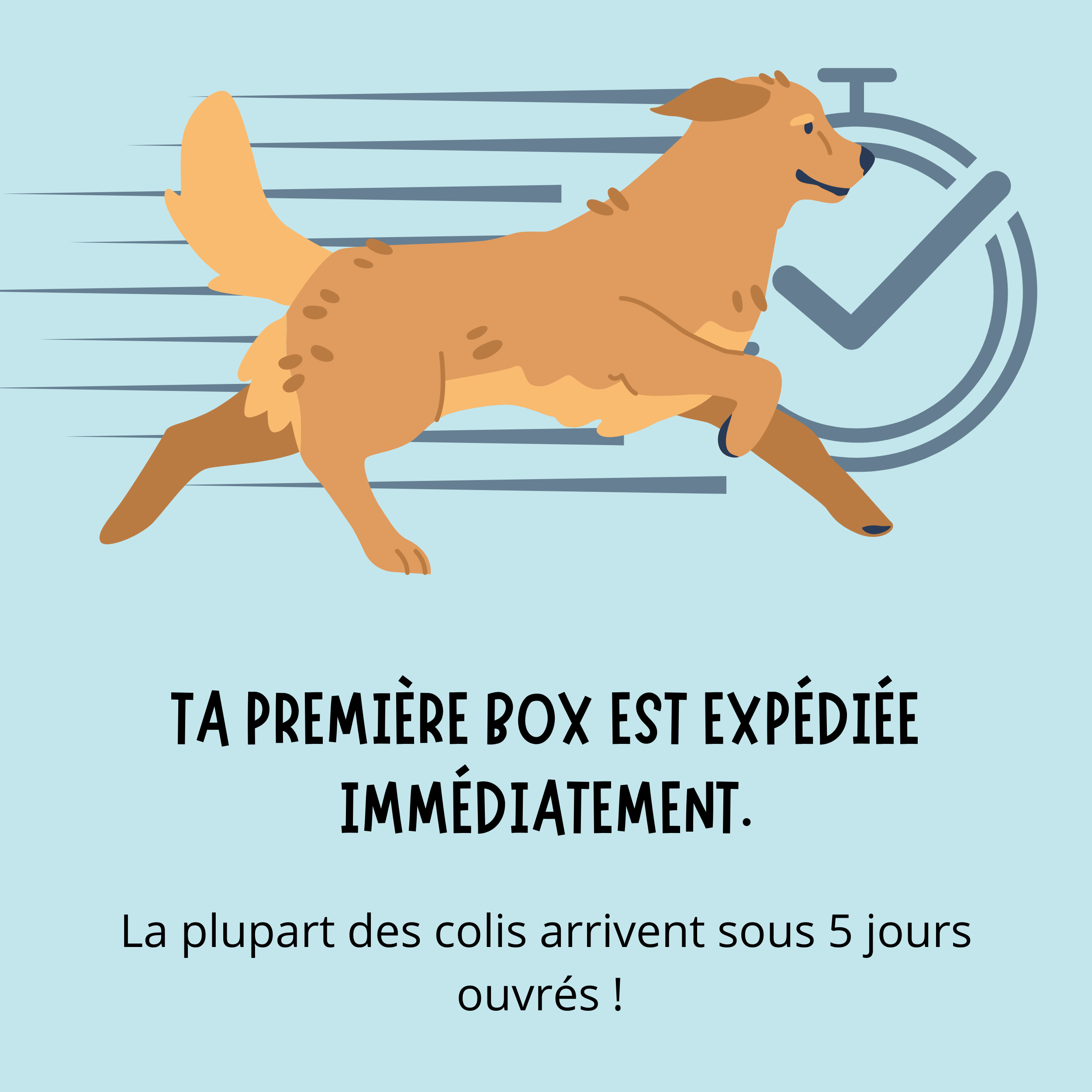 ta premiere box est expediee immediatement