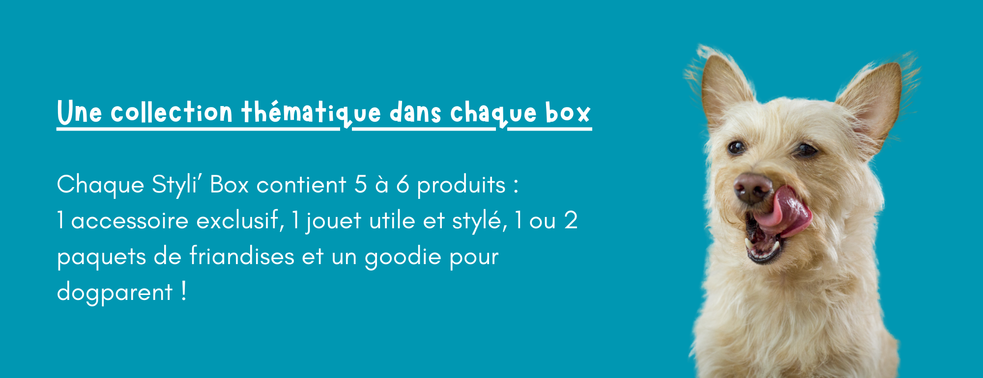 une collection thematique dans chaque box