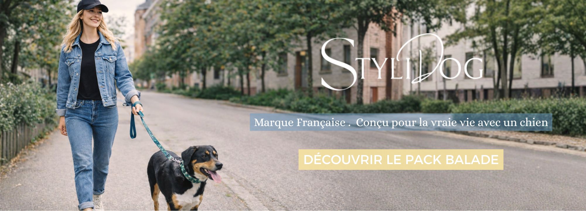 des accessoires styles et confortables pour dog parent qui aiment leurchien comme un bebe 1