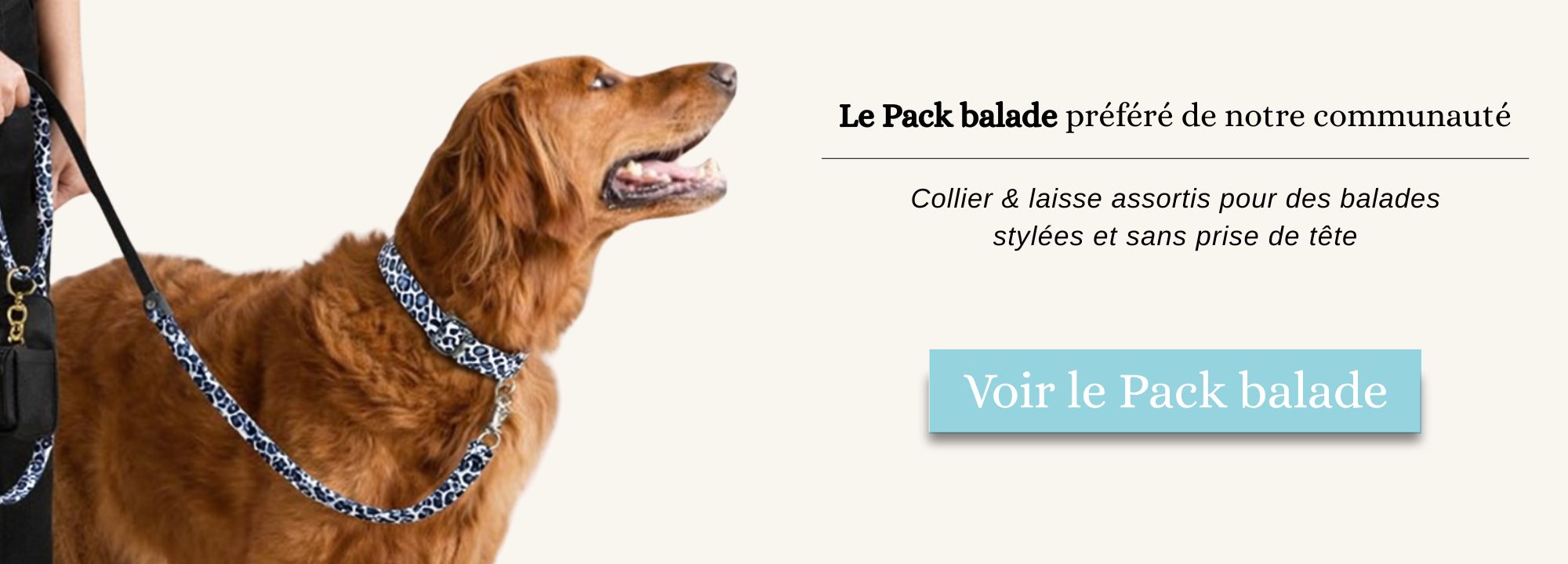 pack balade stylidog 2