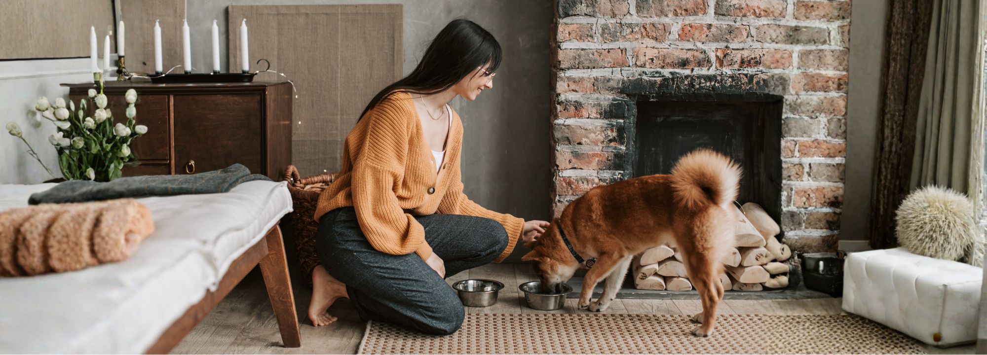 blog stylidog