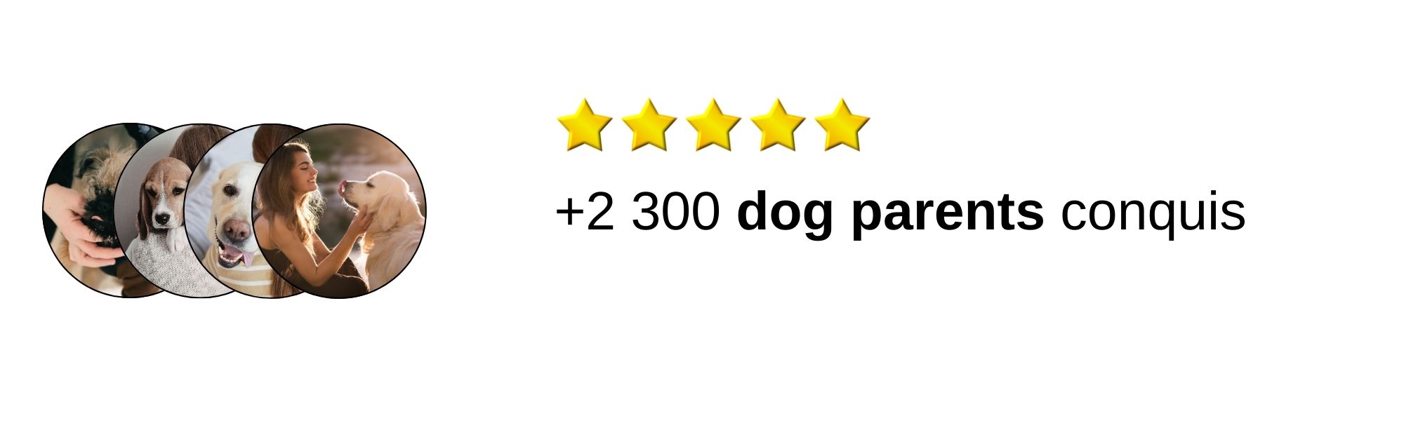 2300 dog parents conquis