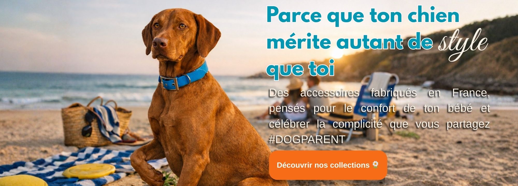 stylidog page accueil 1