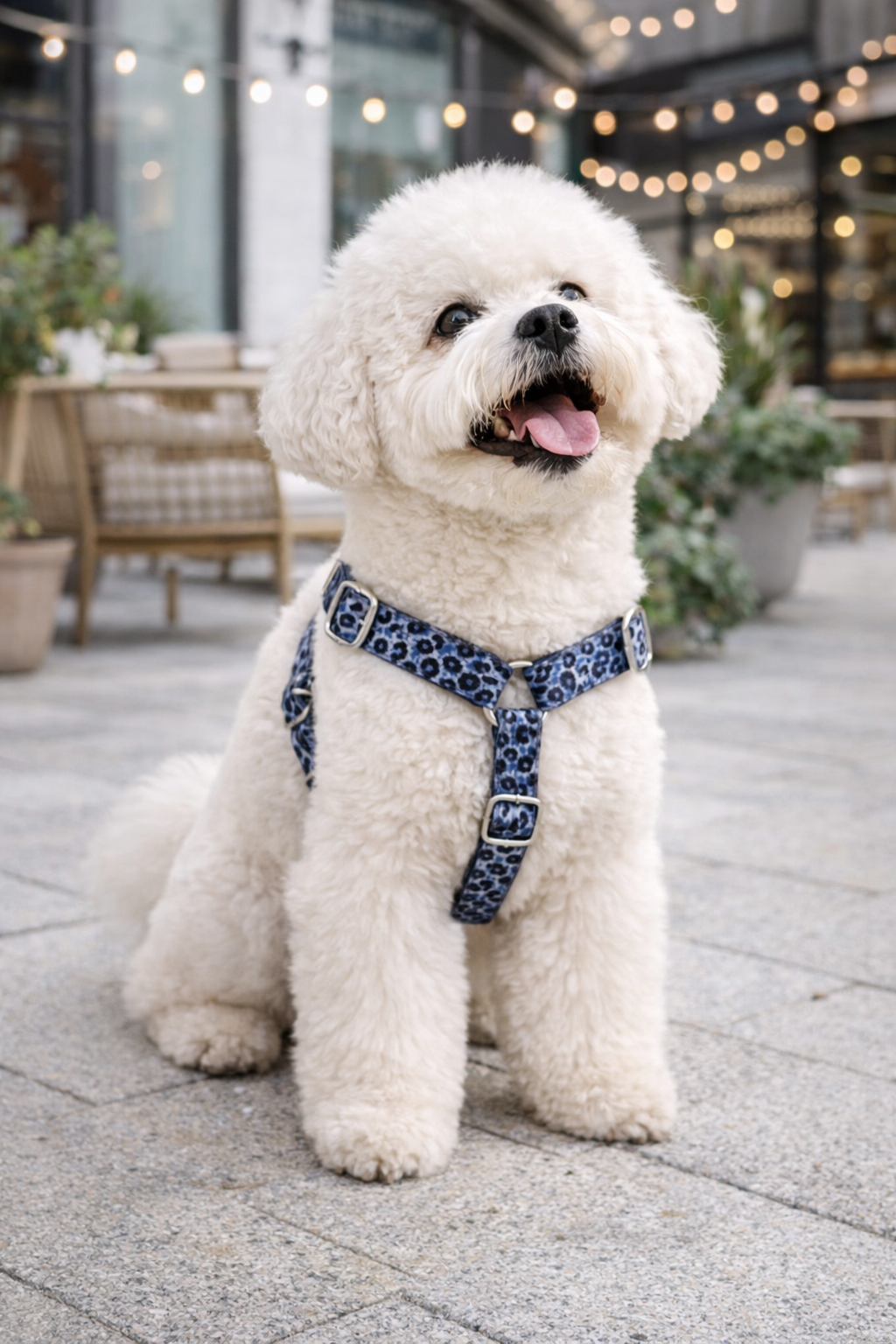 chien mignon sur un trottoir urbain